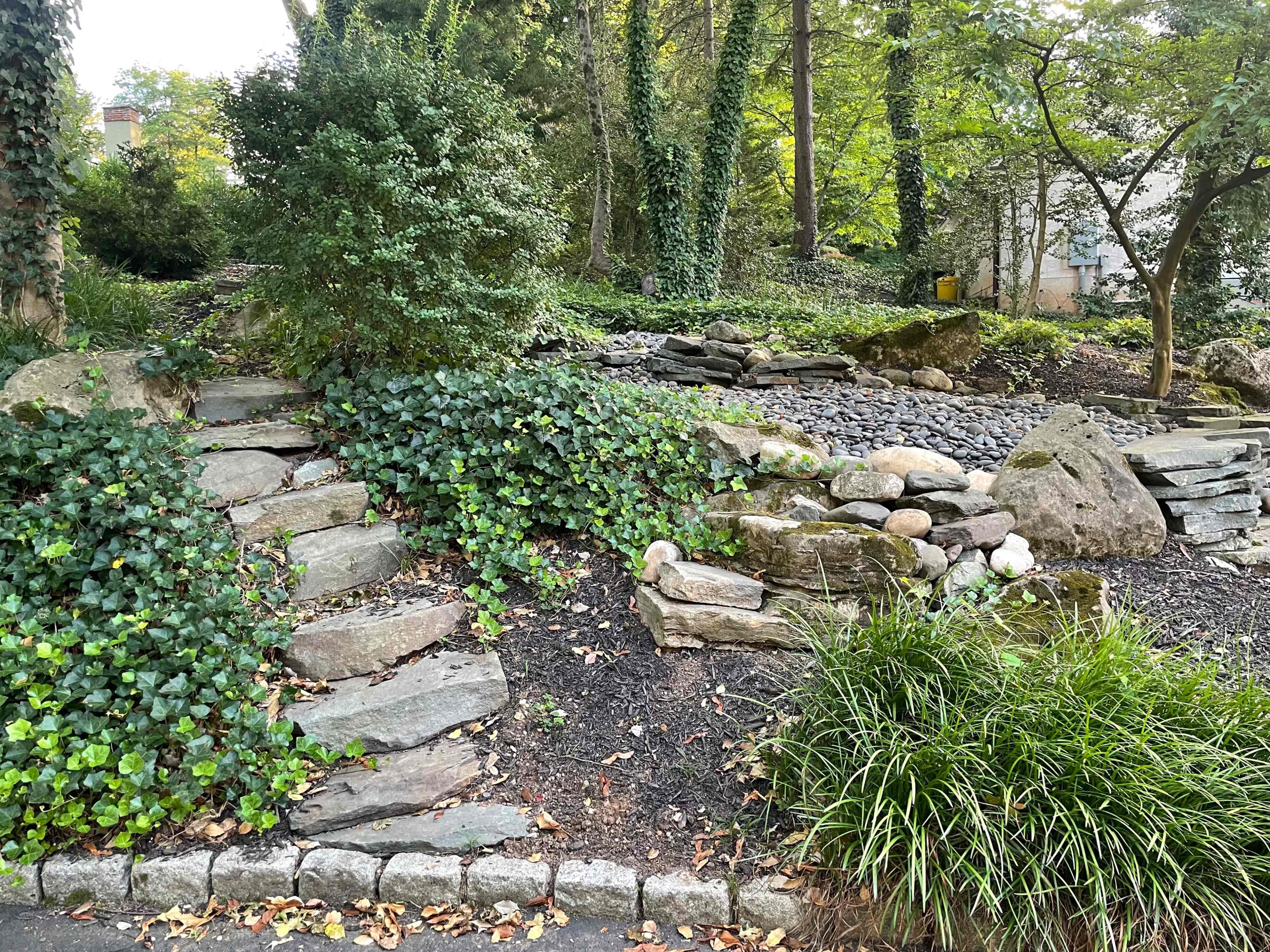 A landscaped area featuring stone steps, decorative rocks, and various greenery, including ivy and shrubs.