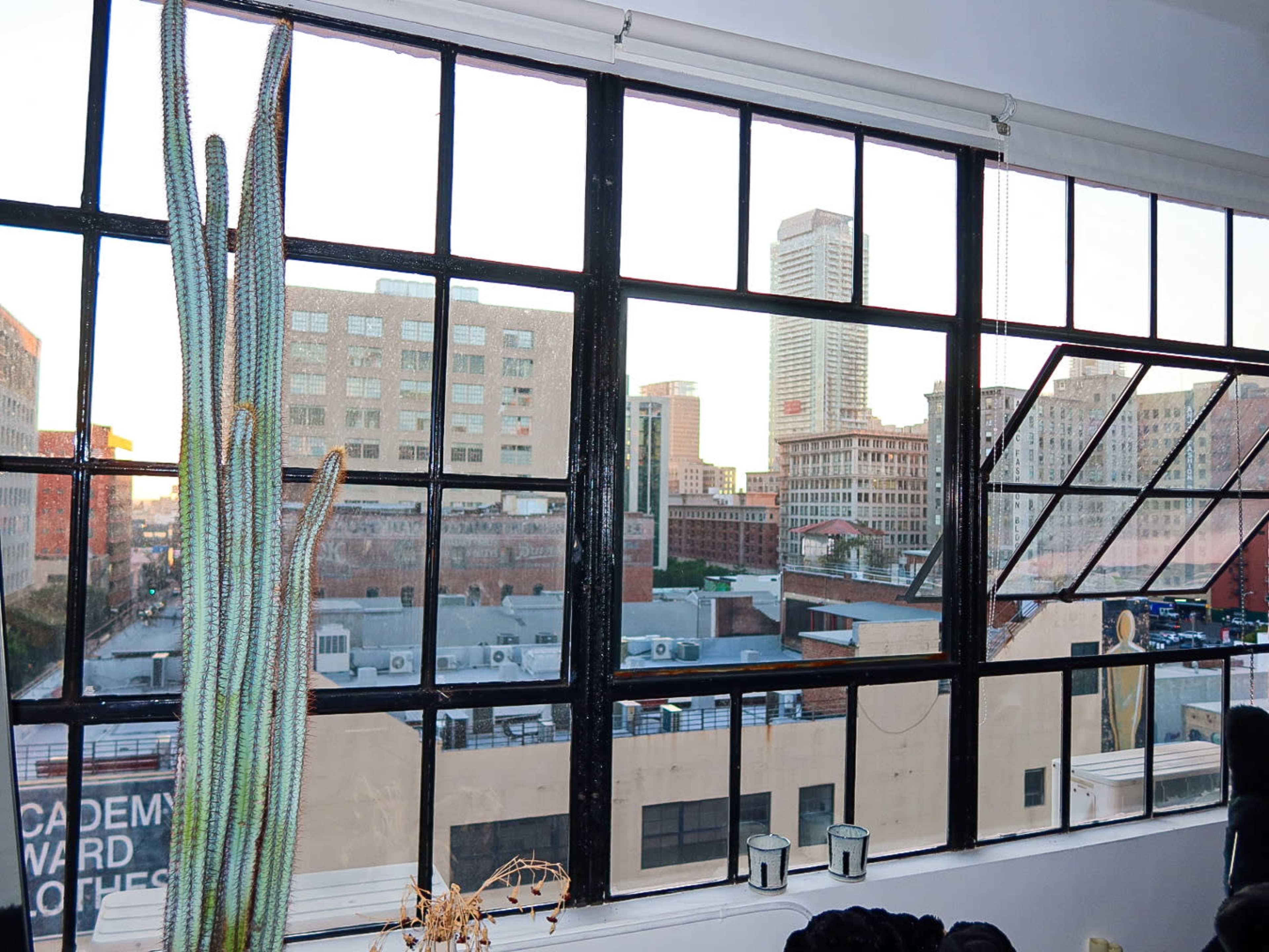 A large window offers a view of urban buildings and a cactus is positioned in the foreground.