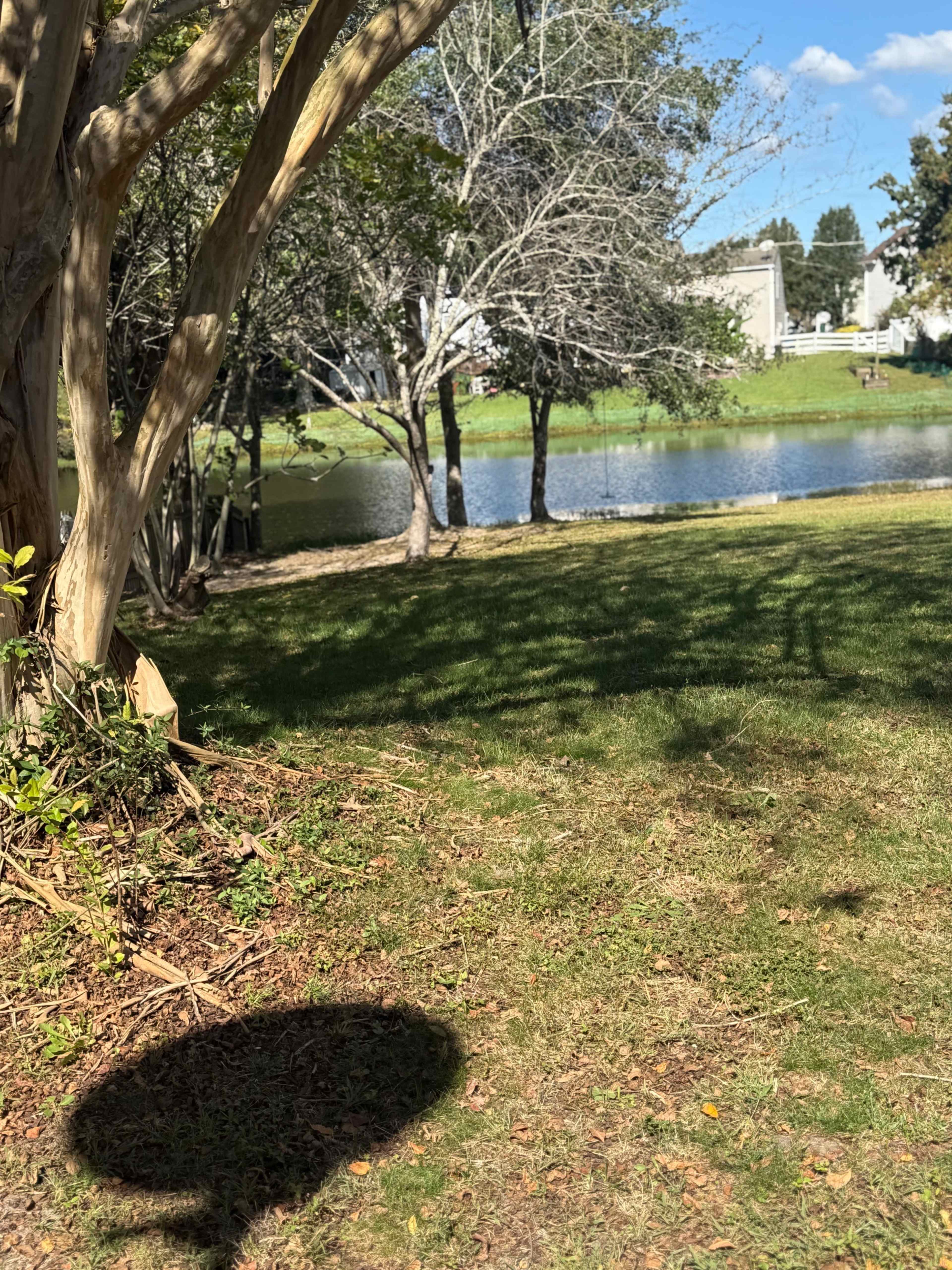 Experience the Most Beautiful Hidden Gem Image in Suffolk, Suffolk, VA