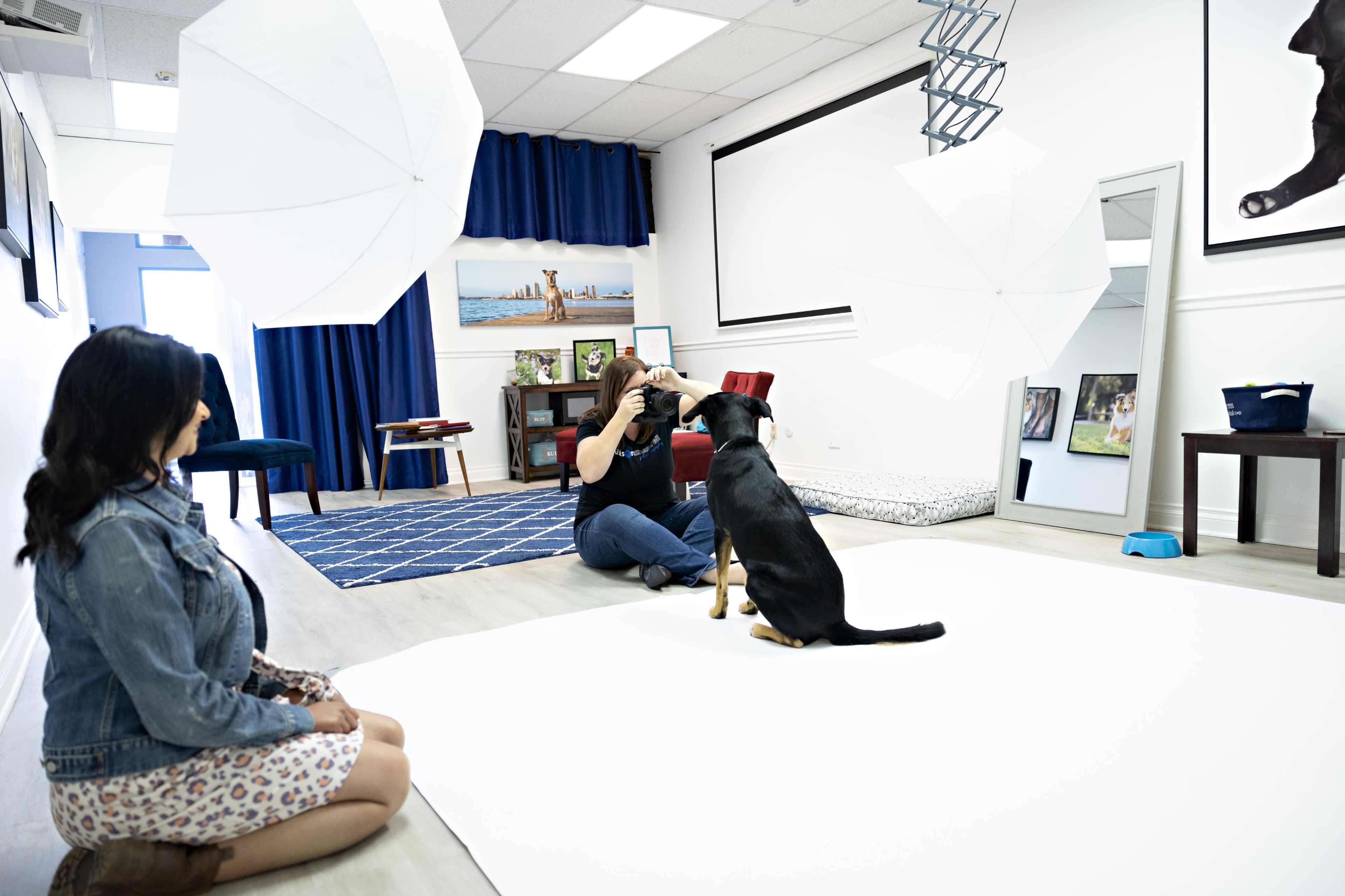A photographer is taking pictures of a dog in a photo studio, while a woman sits on the floor nearby.