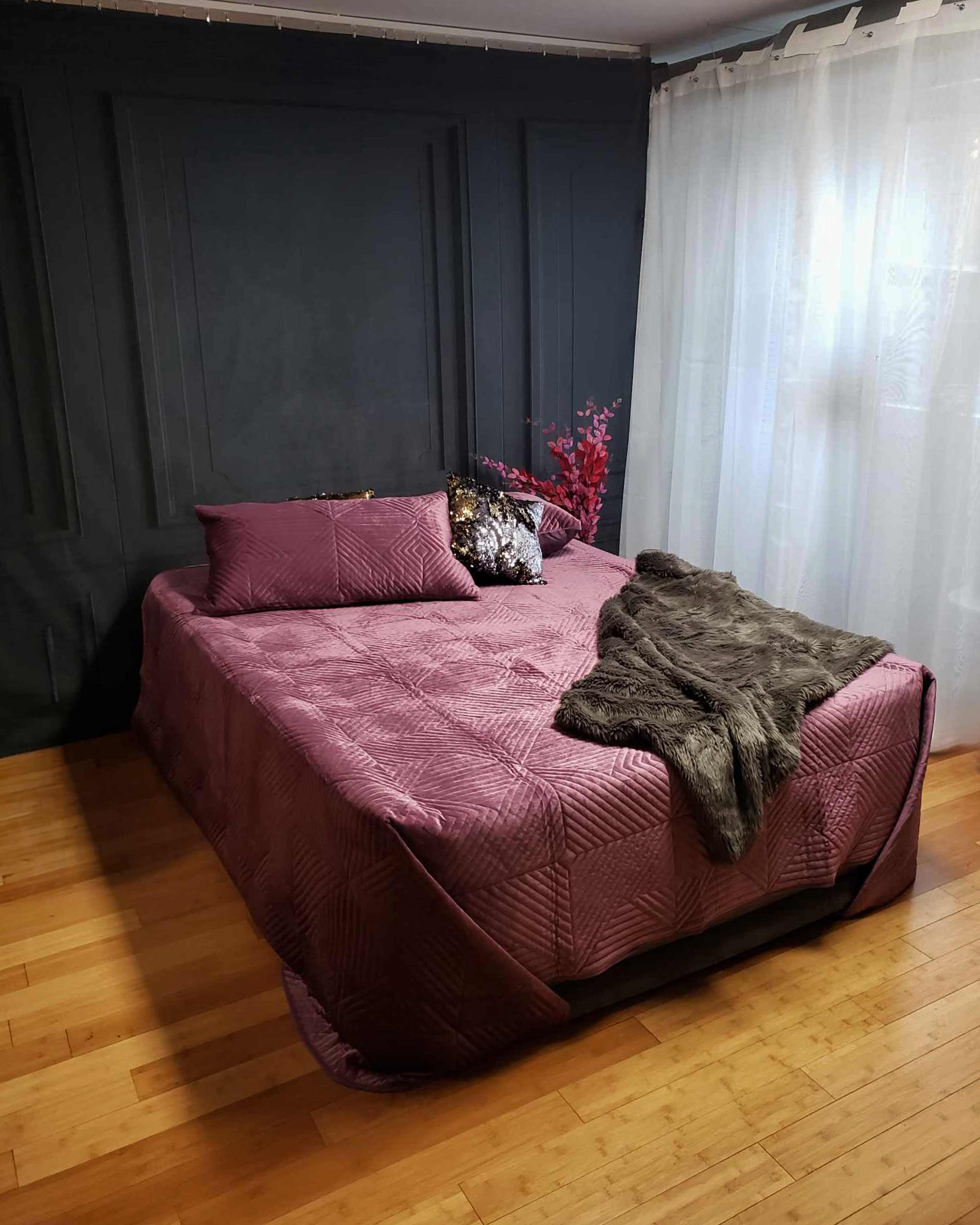The image shows a neatly made bed with a purple quilt and decorative pillows against a dark wall, complemented by a soft blanket and a potted plant in the corner.