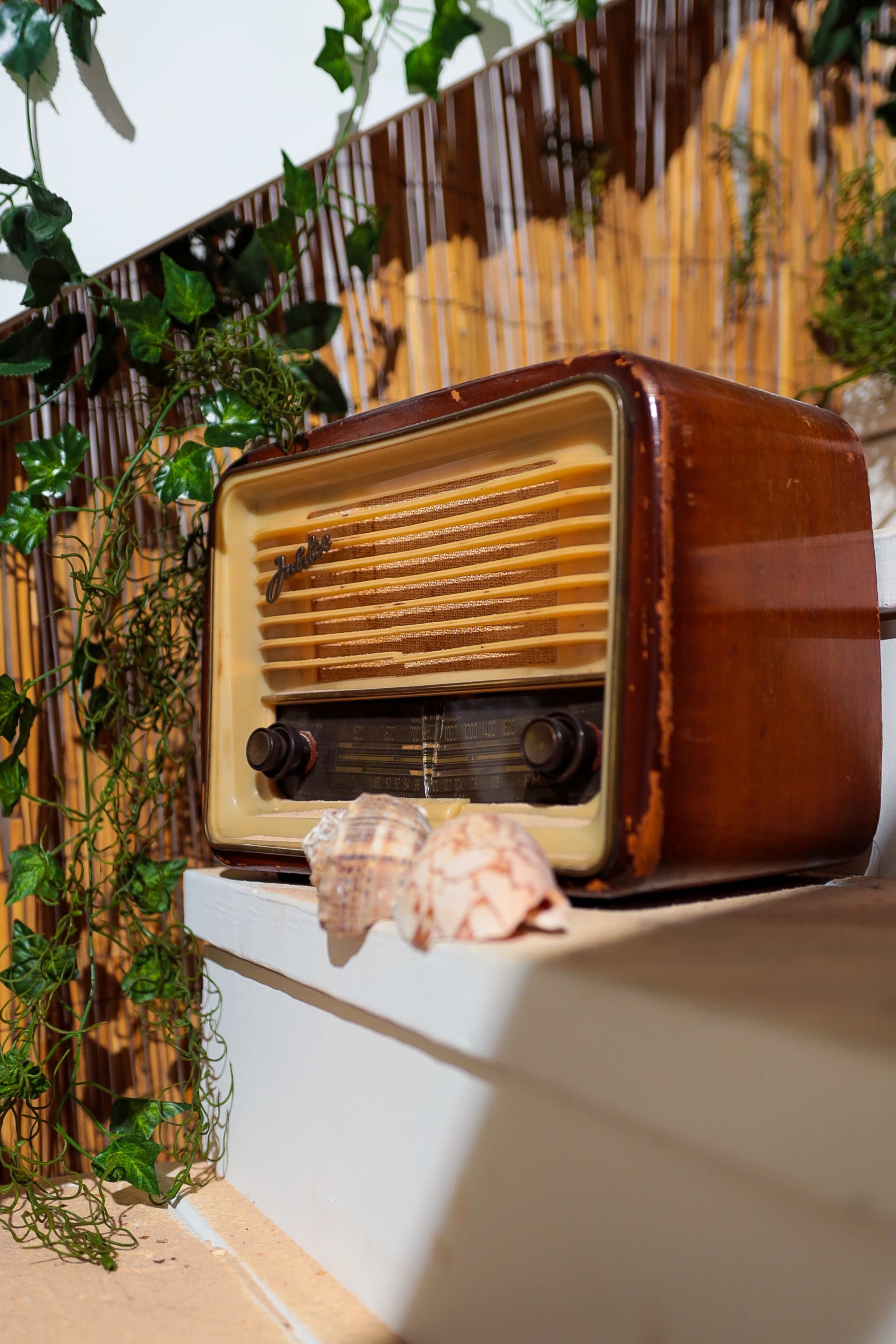 An old-fashioned wooden radio sits on a ledge decorated with seashells and surrounded by green plants.