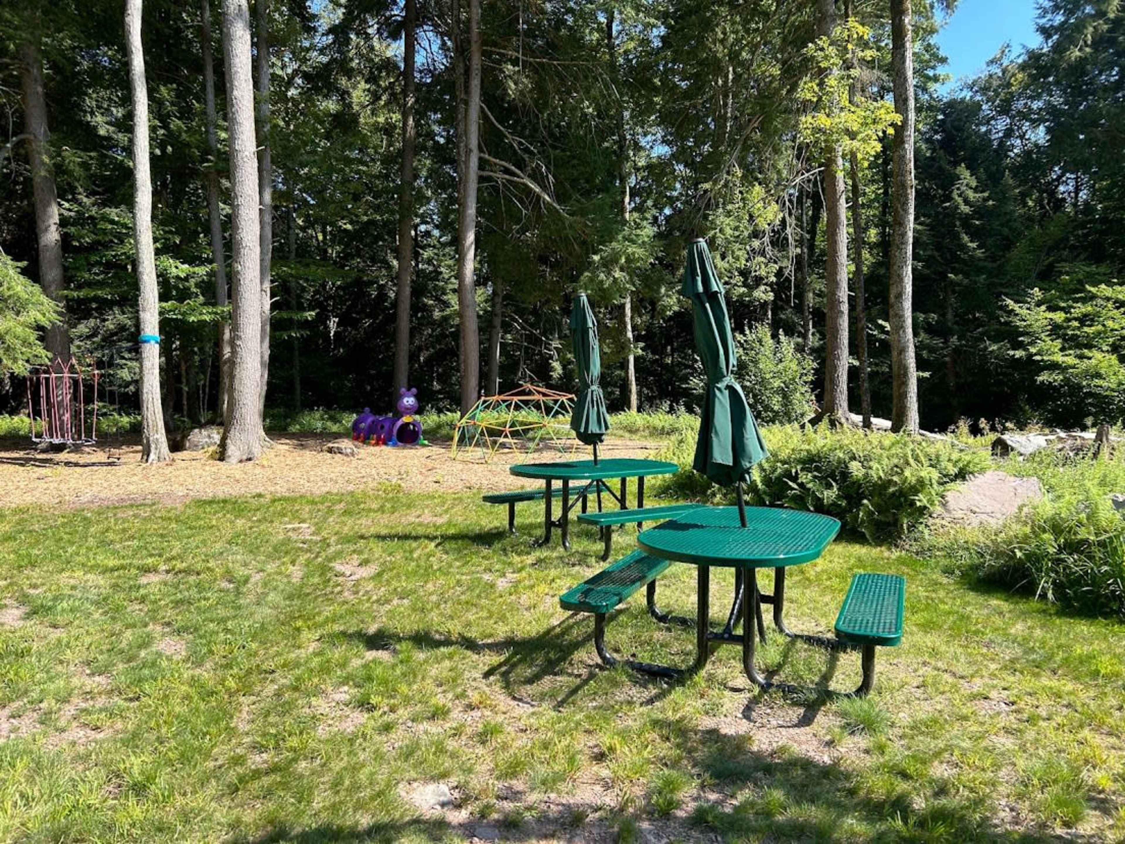 Rural wood area with privacy, recreation space and unique landscape features Image in Bethel, Mongaup Valley, NY