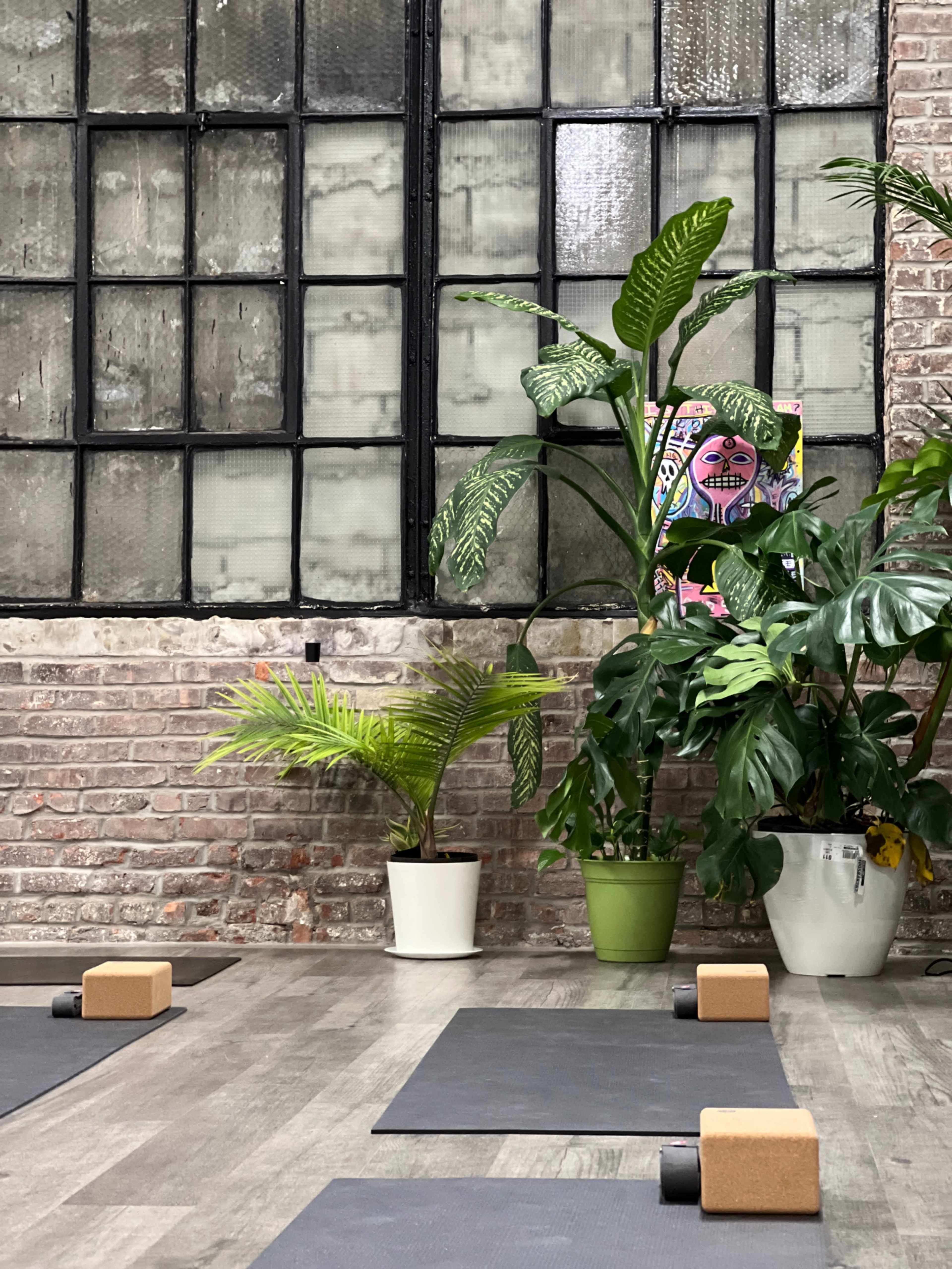 The image shows a yoga studio with exercise mats and blocks arranged neatly on a wooden floor, surrounded by several potted plants against a brick wall with large windows.