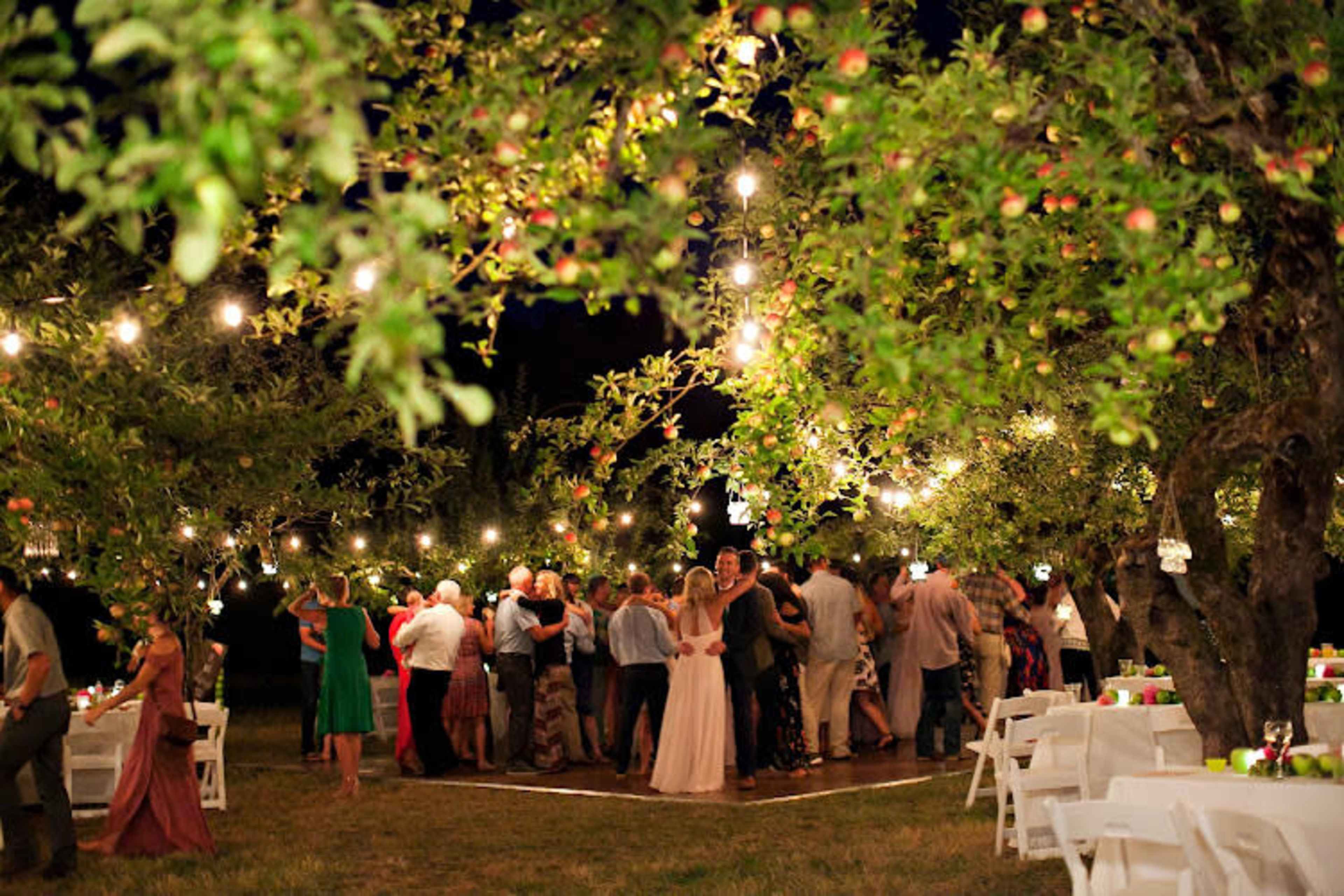 Charming Orchard Setting just outside Corvallis Image in , Corvallis, OR