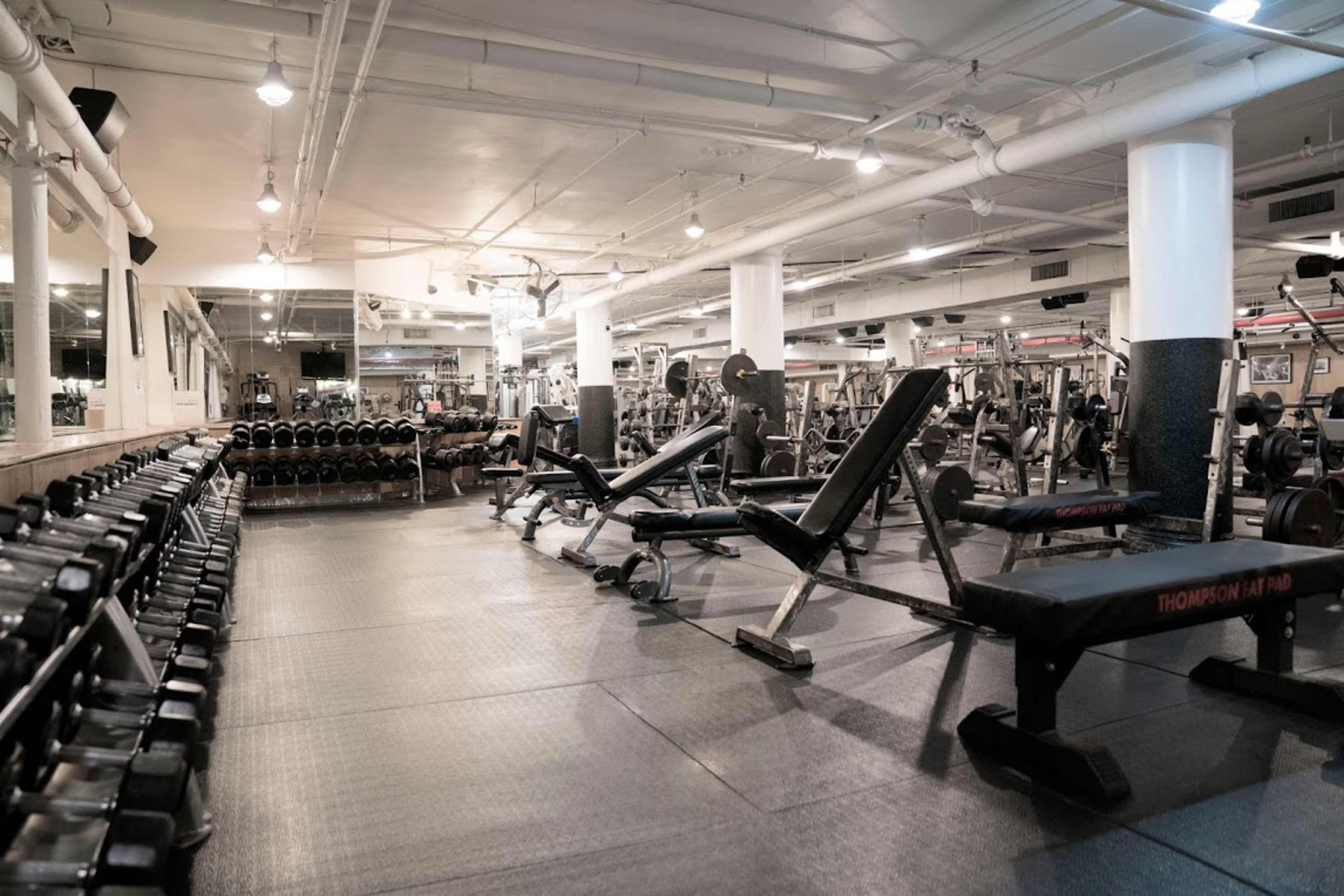 The gym features rows of weightlifting equipment, including dumbbells and benches, in a spacious, well-lit area.