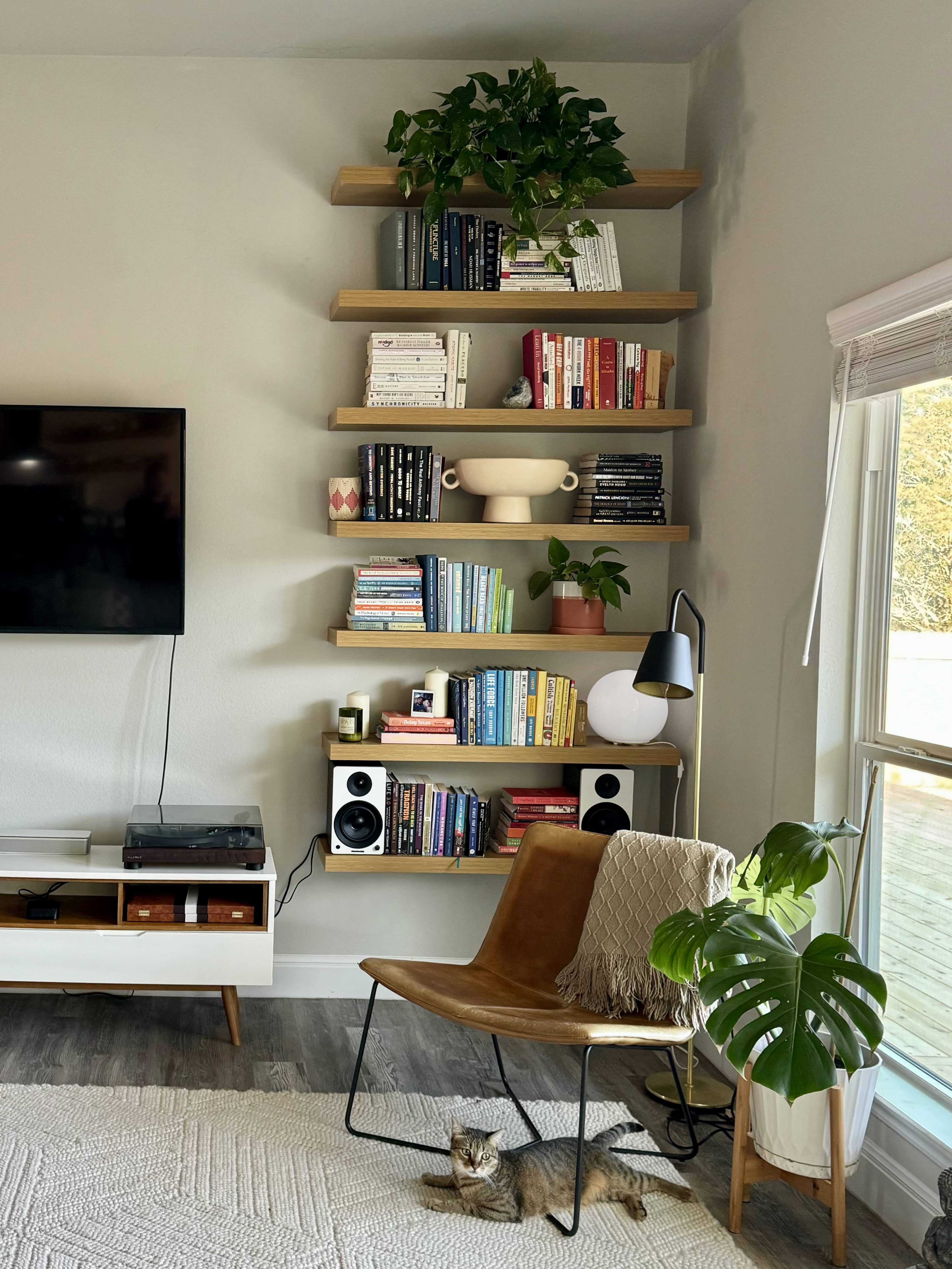 A wooden shelving unit filled with books and plants is mounted on a light-colored wall beside a television, with a chair and a cat on a rug in the foreground.