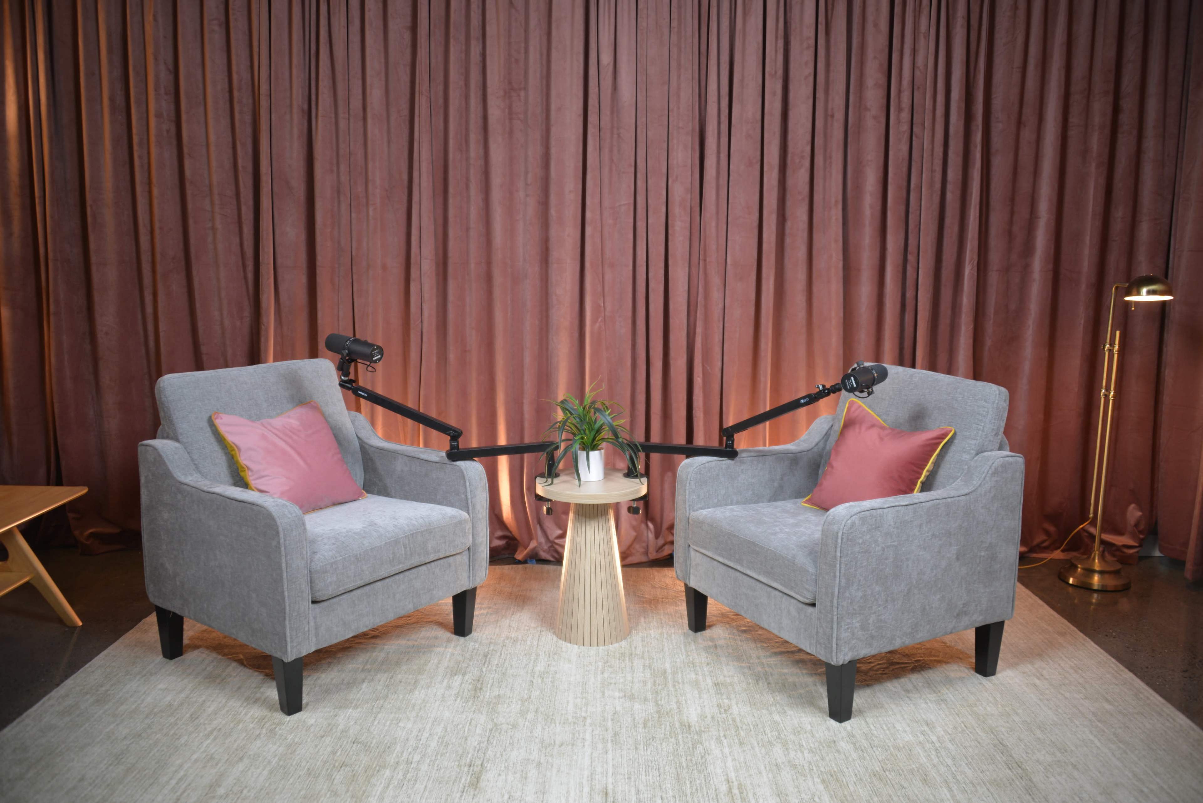 The image shows two gray armchairs paired with pink cushions, situated across from each other on a rug, with a small table and a plant in between.