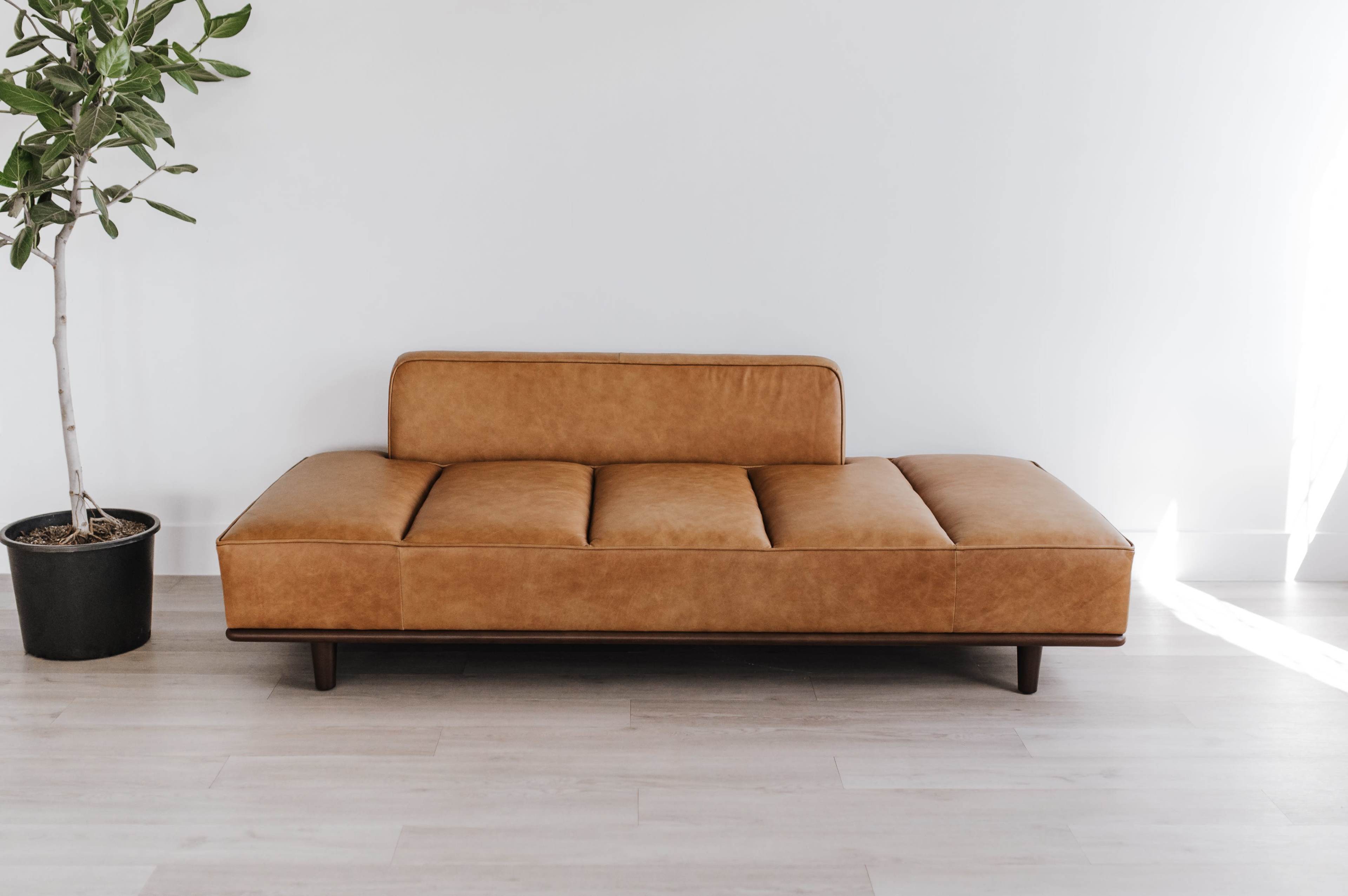 A brown leather sofa with a simple design is positioned beside a potted plant against a white wall.