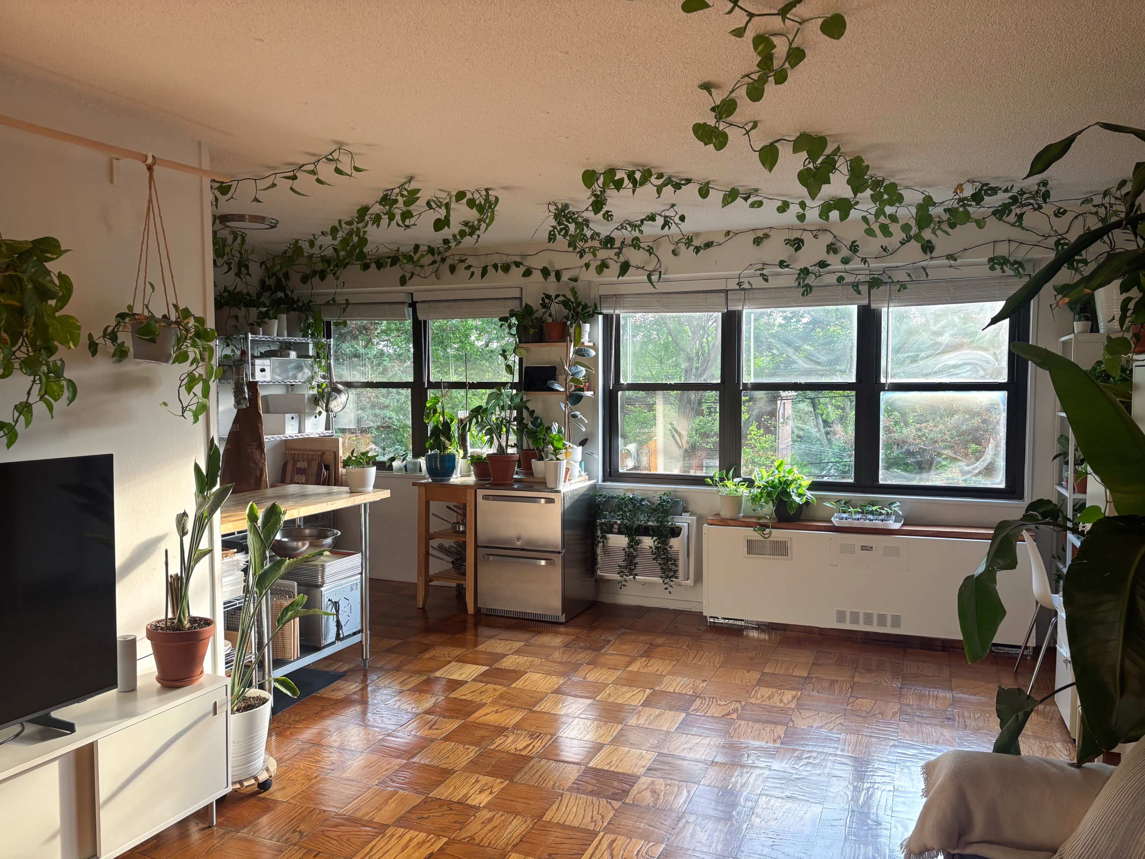 The image shows a bright living space filled with plants, featuring large windows, a wooden floor, and a television on a white cabinet.