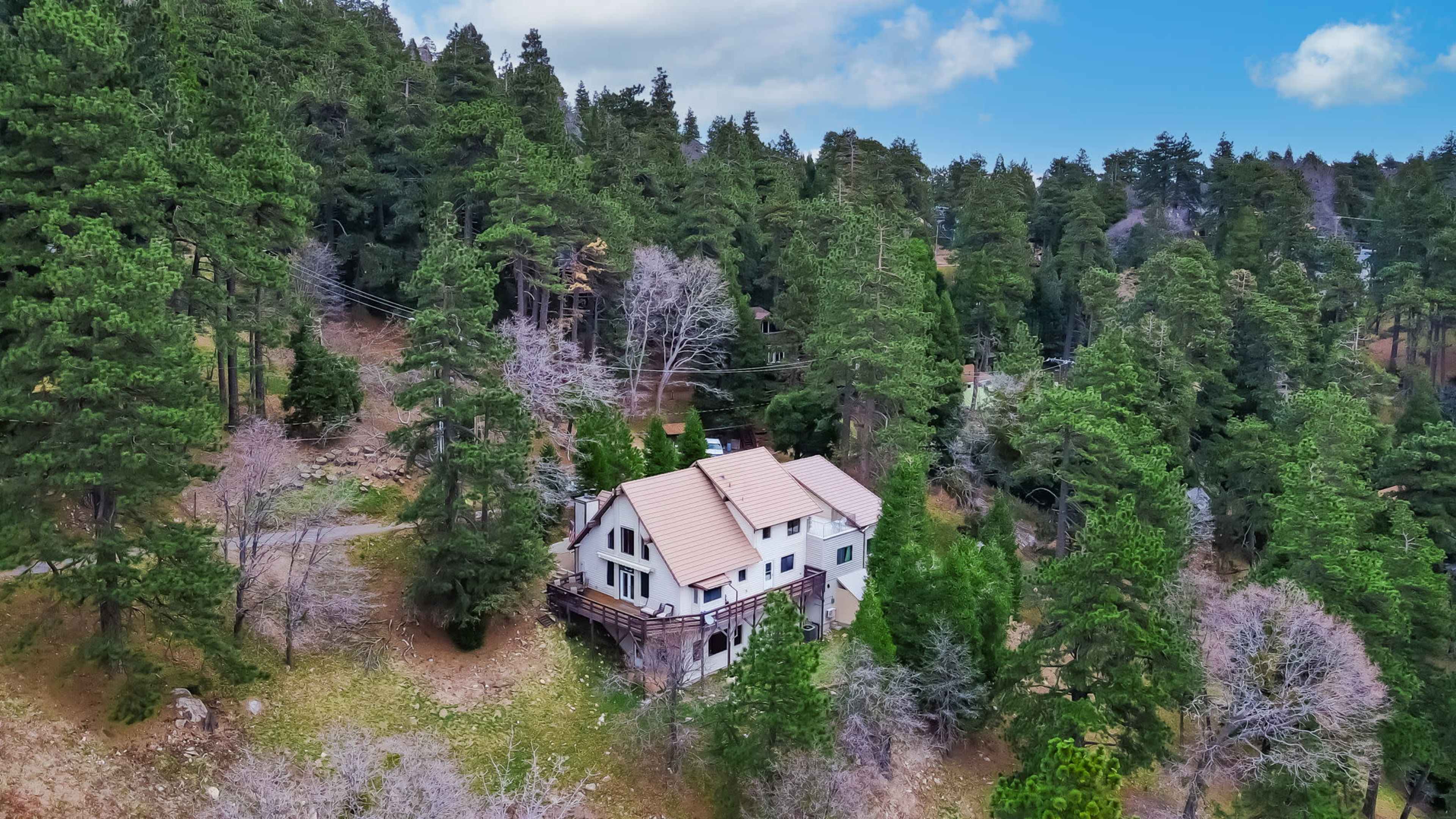 Vista Lodge! 20 min to Silverwood Lake Image in Cedarpines Park, Cedarpines Park, CA