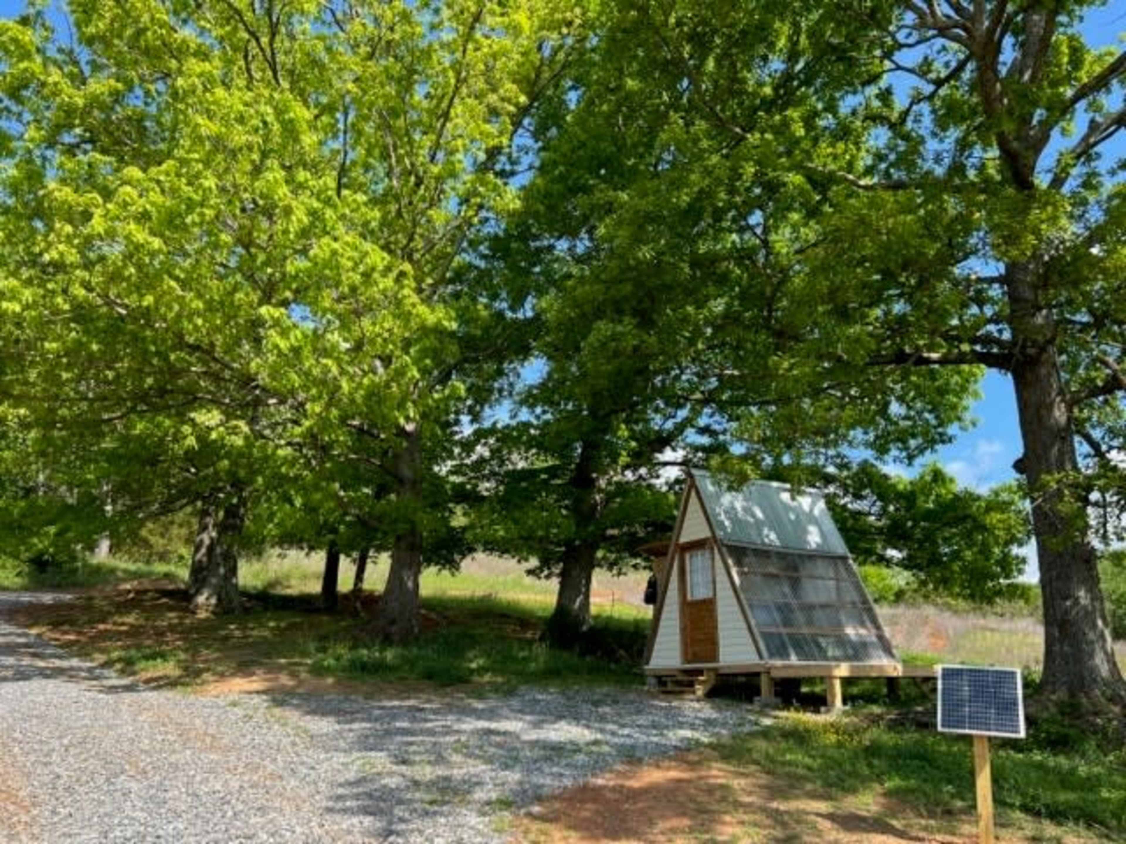 A small A-frame cabin is situated on a gravel path, surrounded by large green trees and a solar panel nearby.