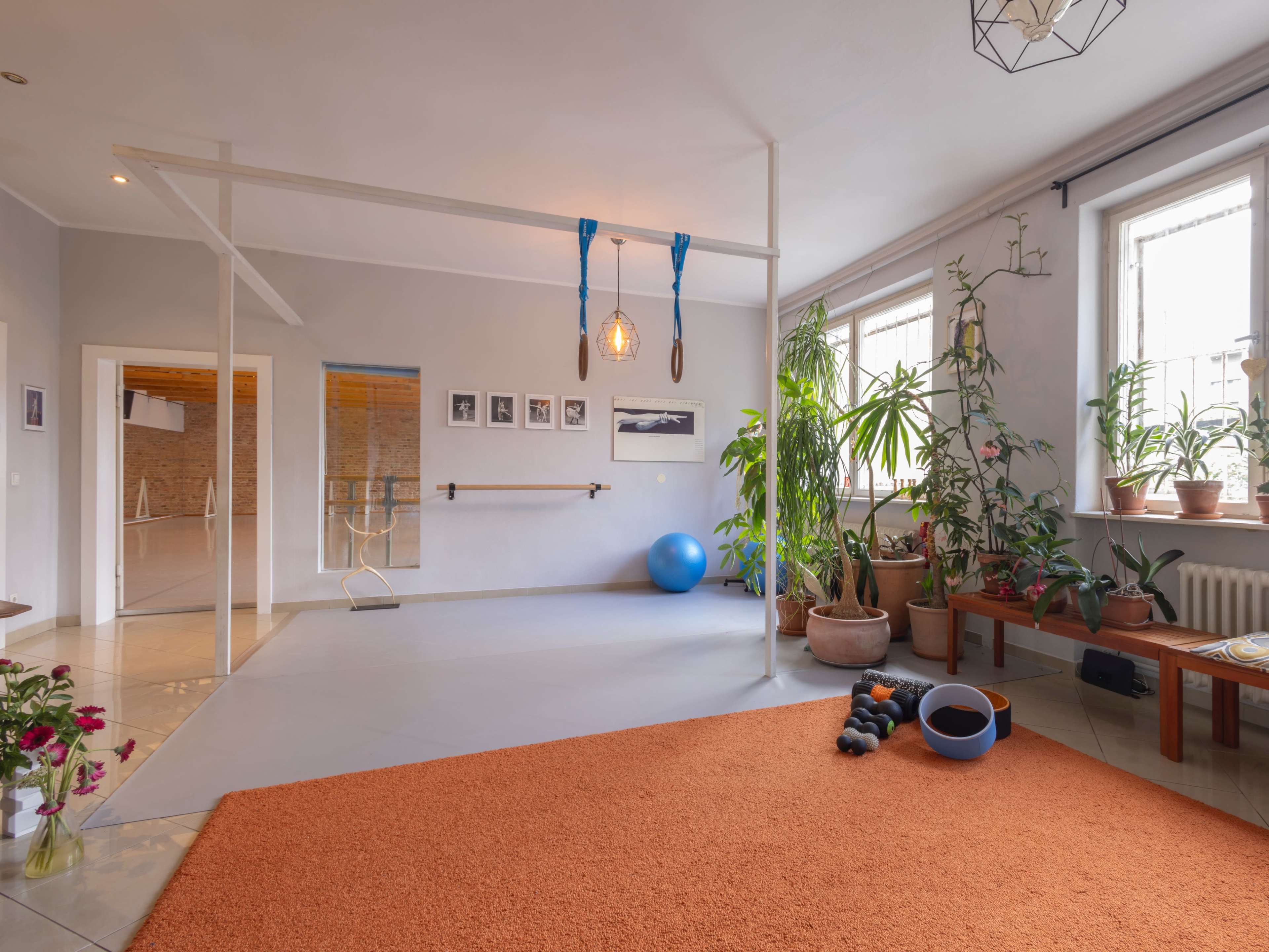 The image shows a well-lit exercise room featuring a large orange rug, fitness equipment, potted plants, and a ballet barre along the wall.