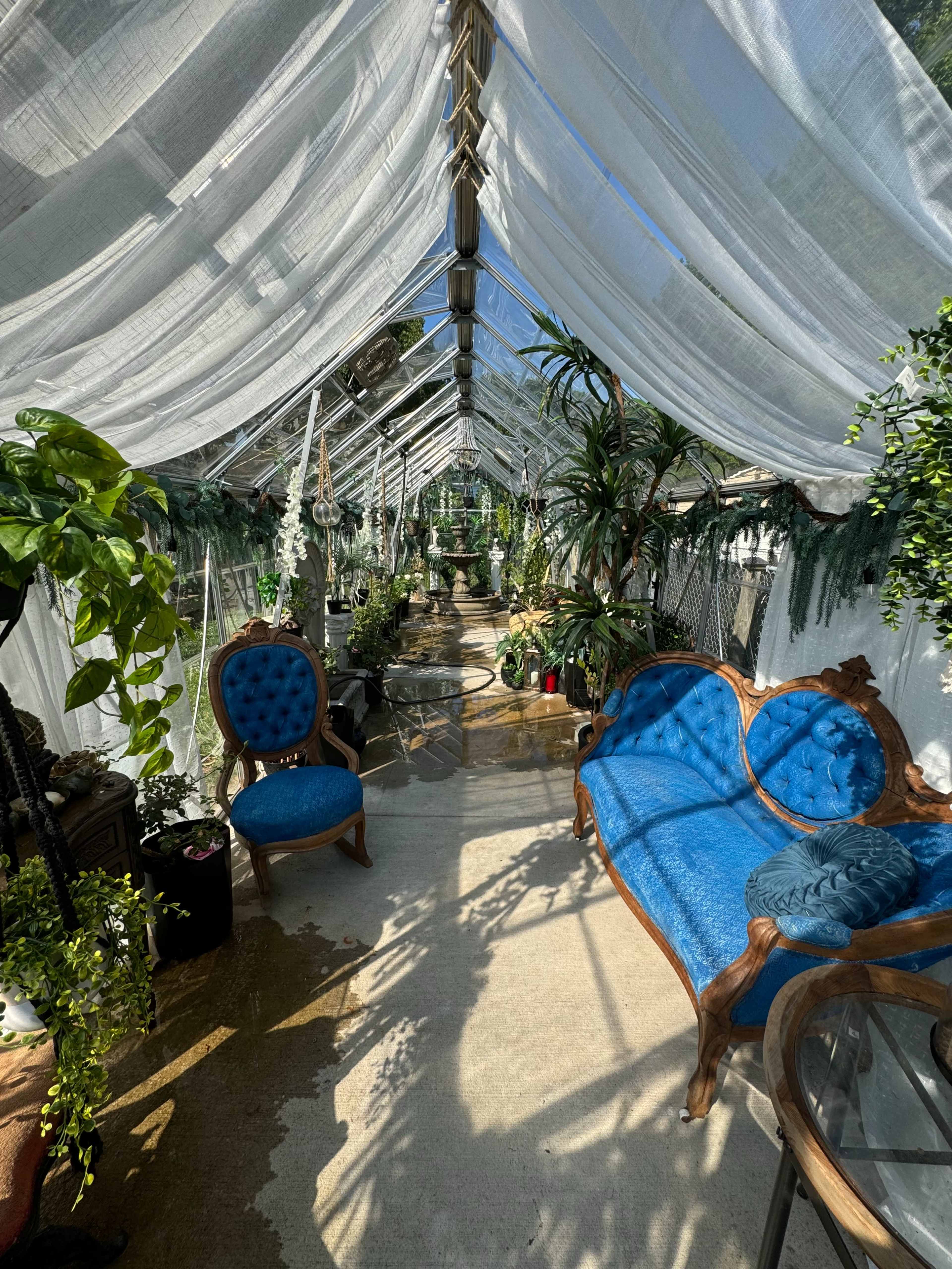 A well-lit greenhouse features a long aisle lined with plants, with elegant blue seating and a glass table.
