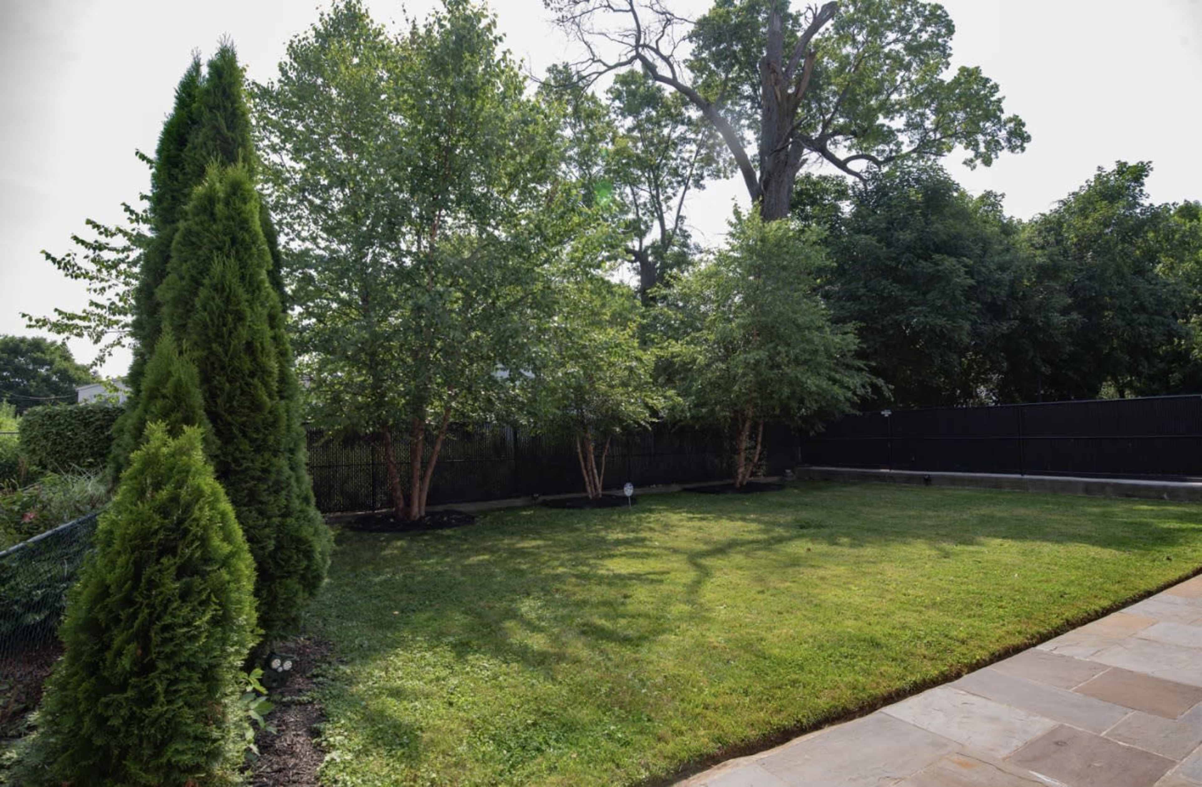 The image shows a grassy backyard with several trees and a black fence in the background.