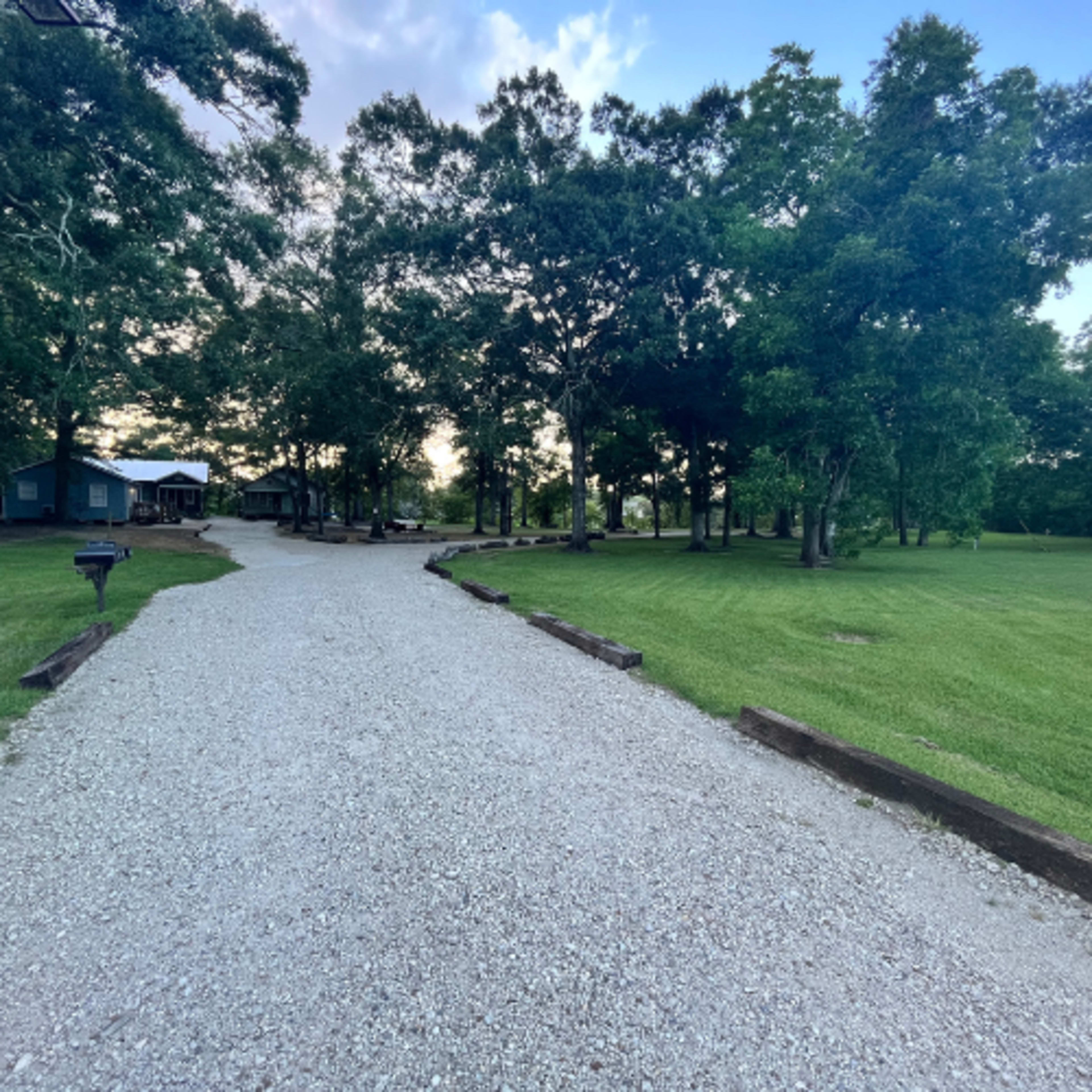 A gravel driveway leads through a wooded area with a green lawn on either side.