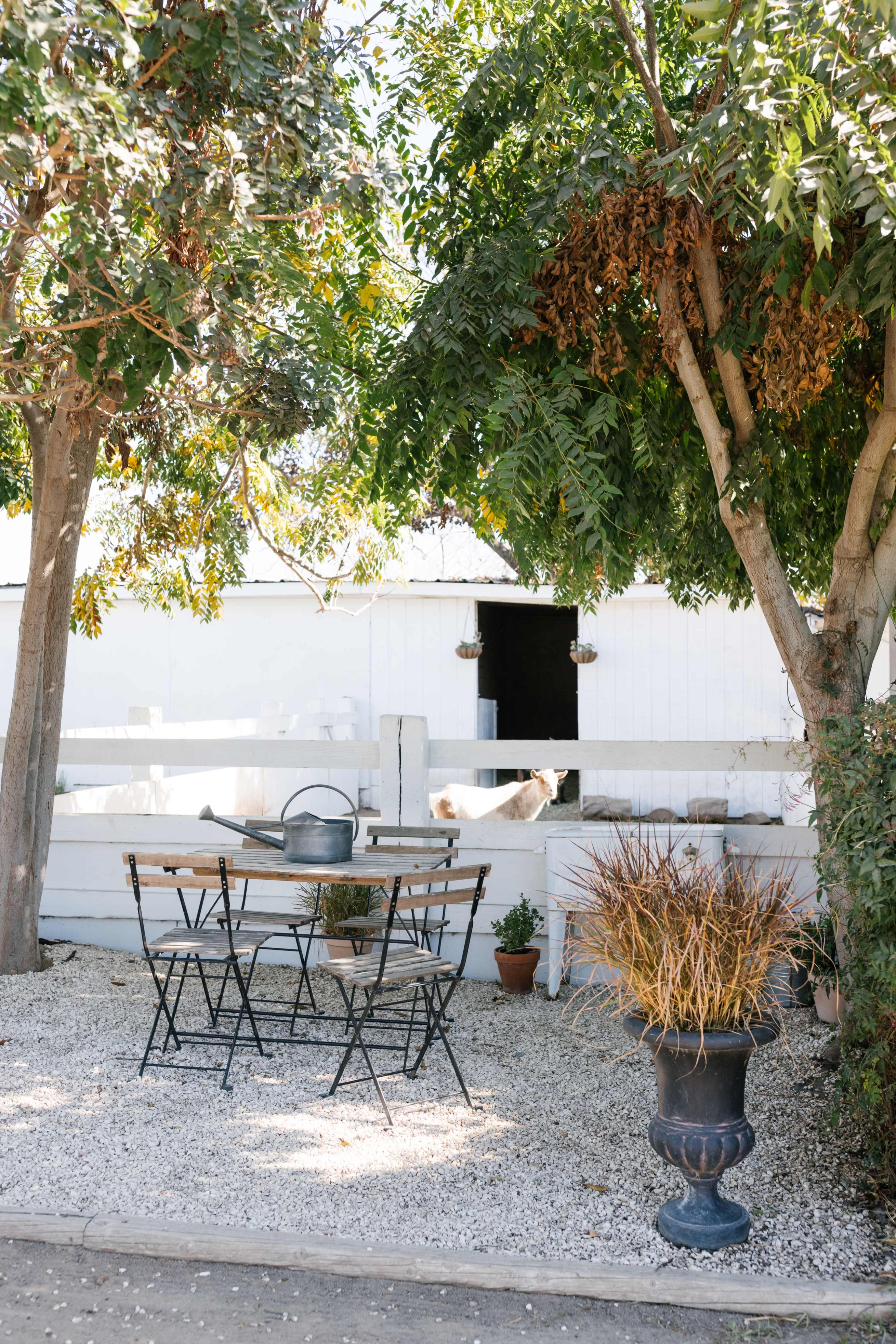 White Barn & Petting Zoo Image in Long Beach, Long Beach, CA