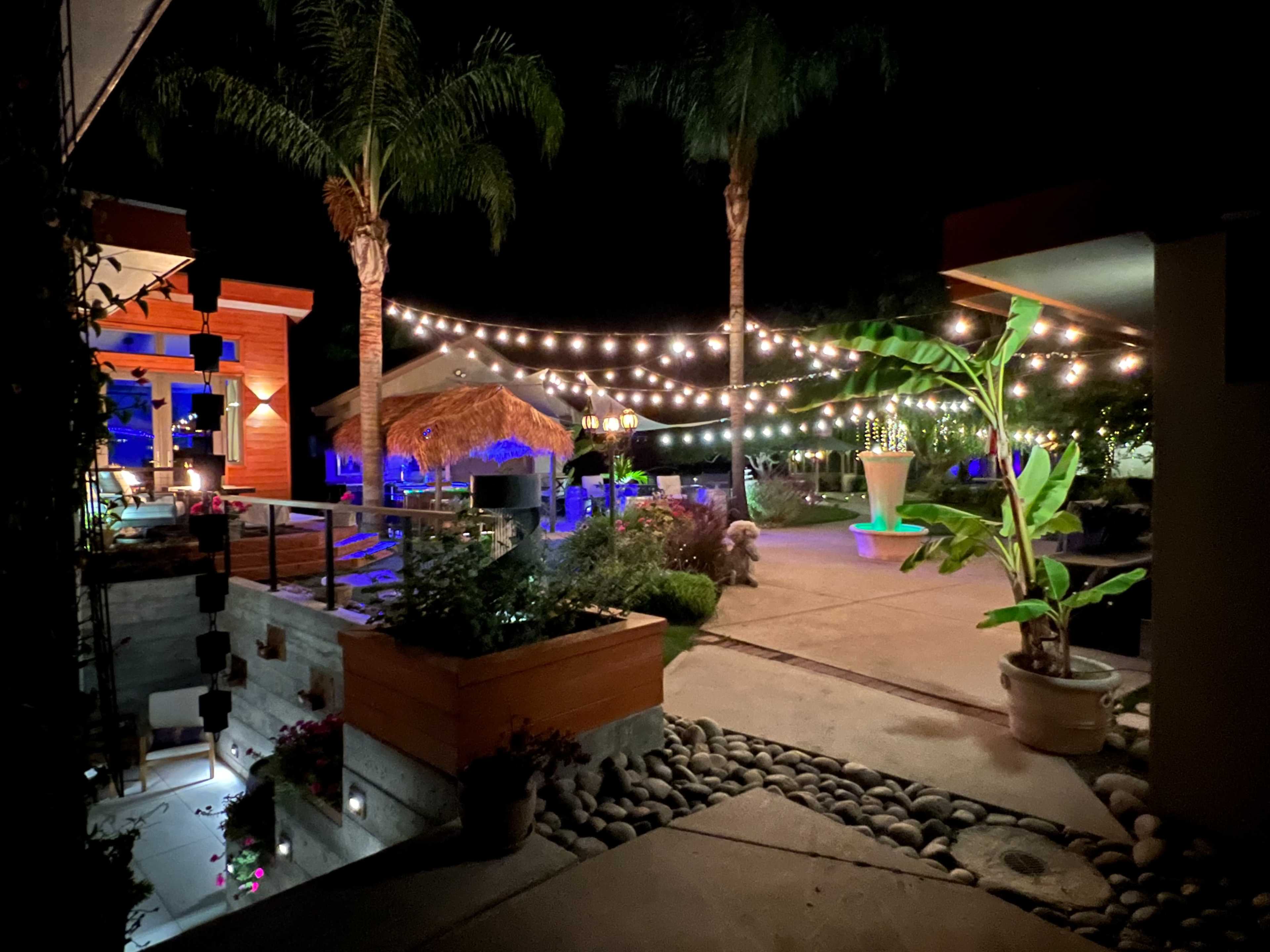The scene shows a nighttime outdoor area illuminated by string lights, featuring a thatched hut, palm trees, and pathways lined with stones and plants.