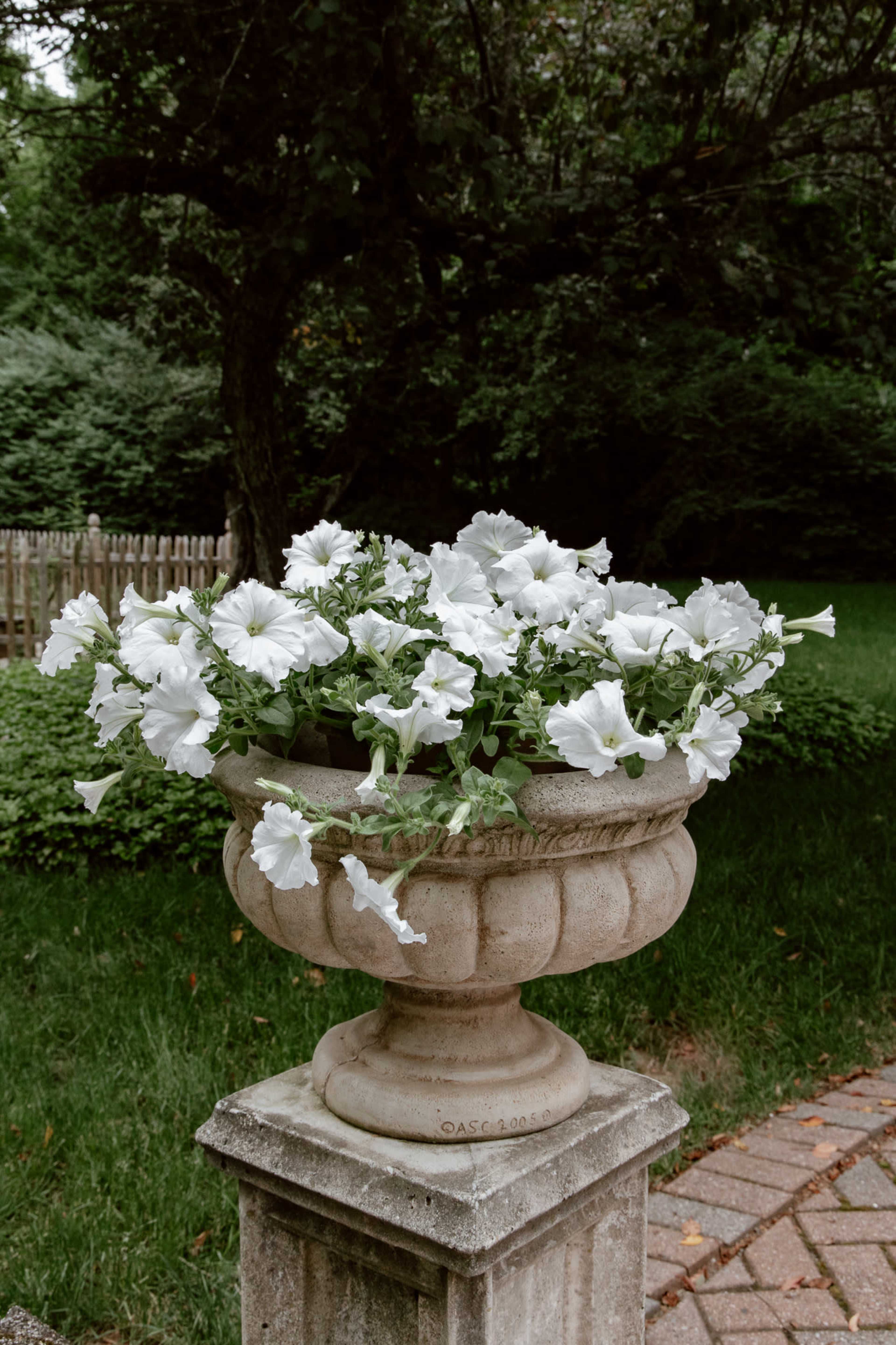 A stone urn filled with white petunias sits on a stone pedestal in a garden.