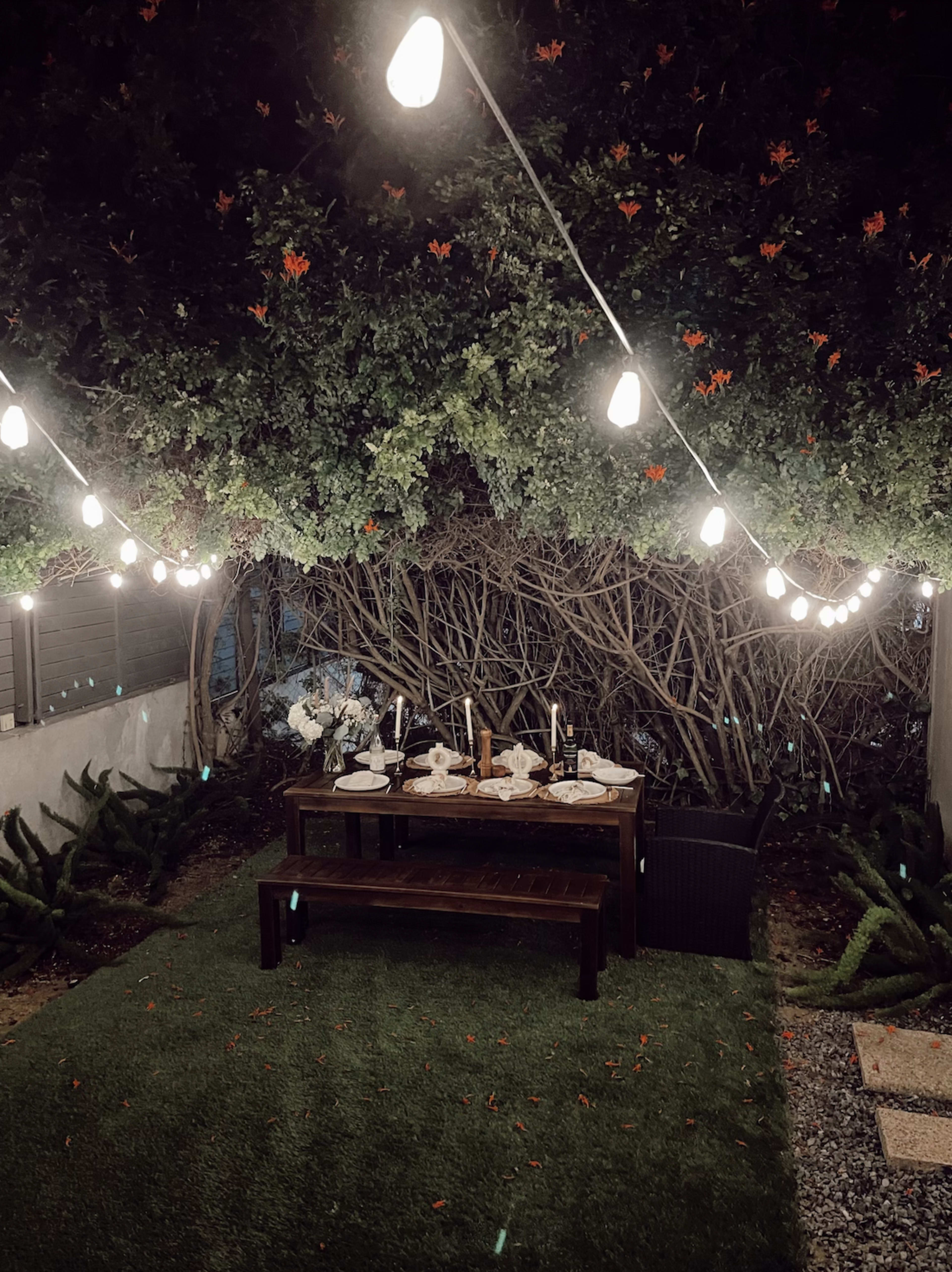 A neatly arranged outdoor dining table is set under string lights, surrounded by greenery and a stone path.