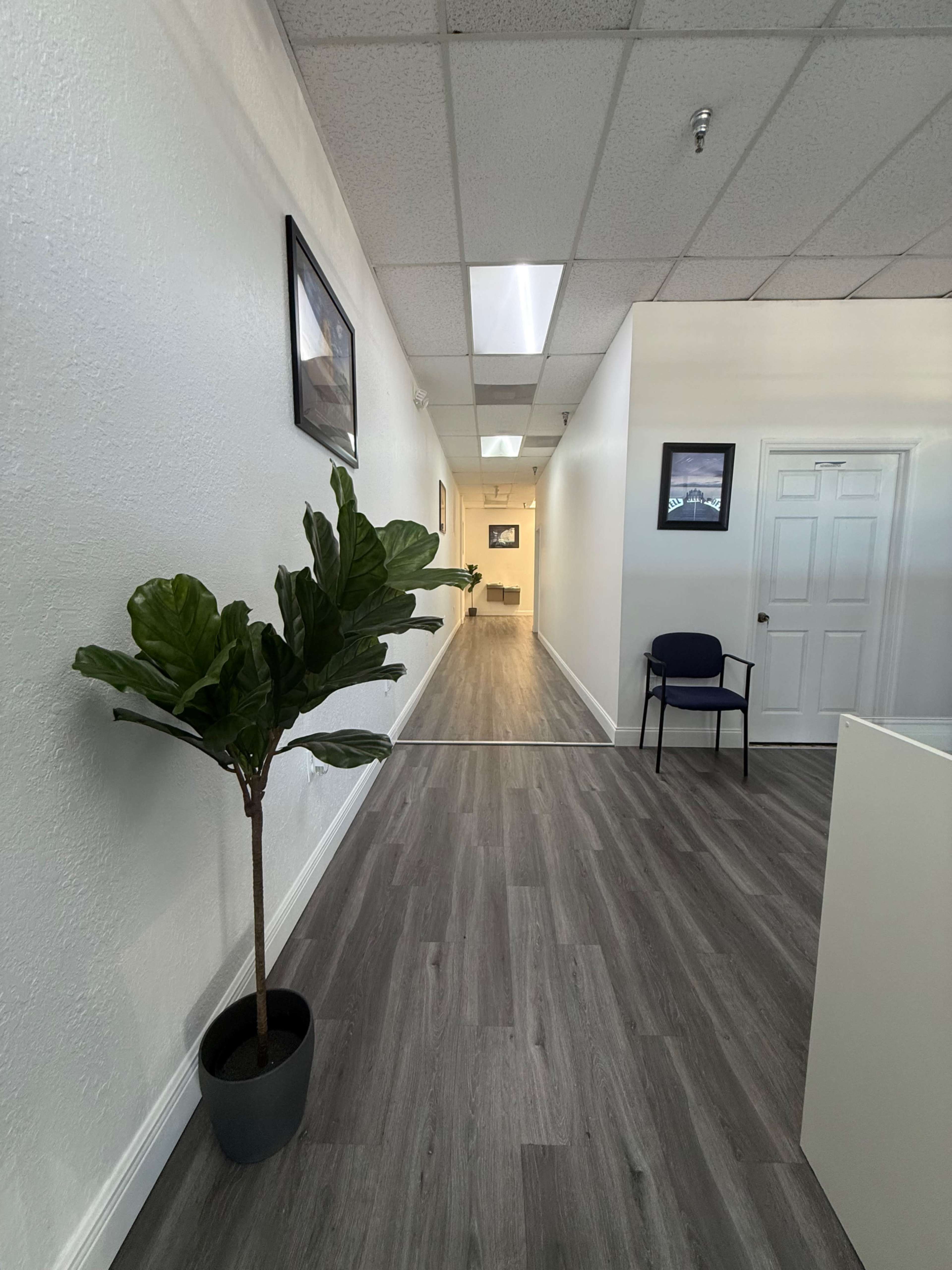 The image shows a well-lit hallway in an office space with a potted plant, a chair, and framed pictures on the walls.