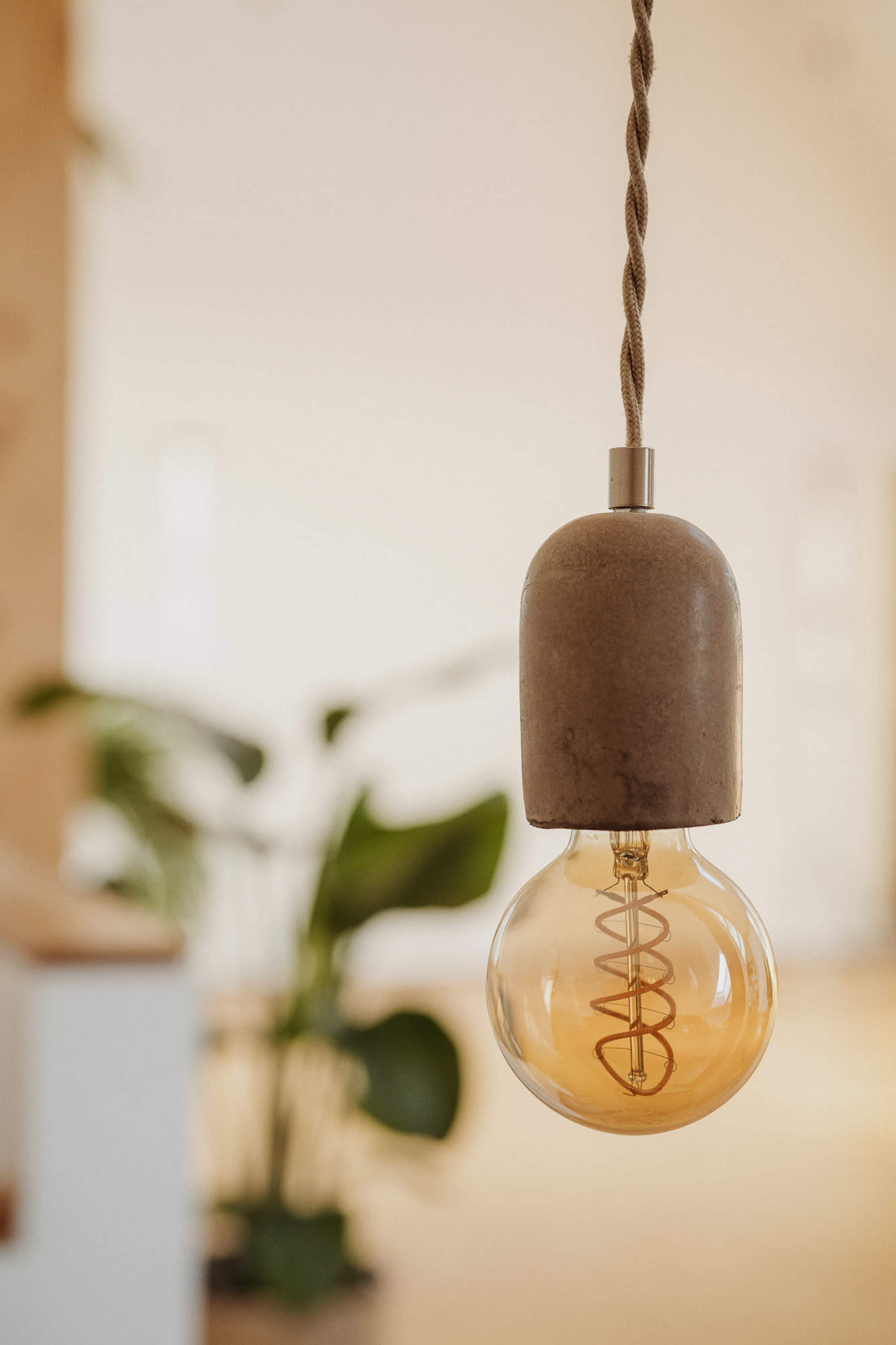 A pendant light hangs from the ceiling, featuring a round bulb with a visible filament and a concrete shade, with a leafy plant blurred in the background.