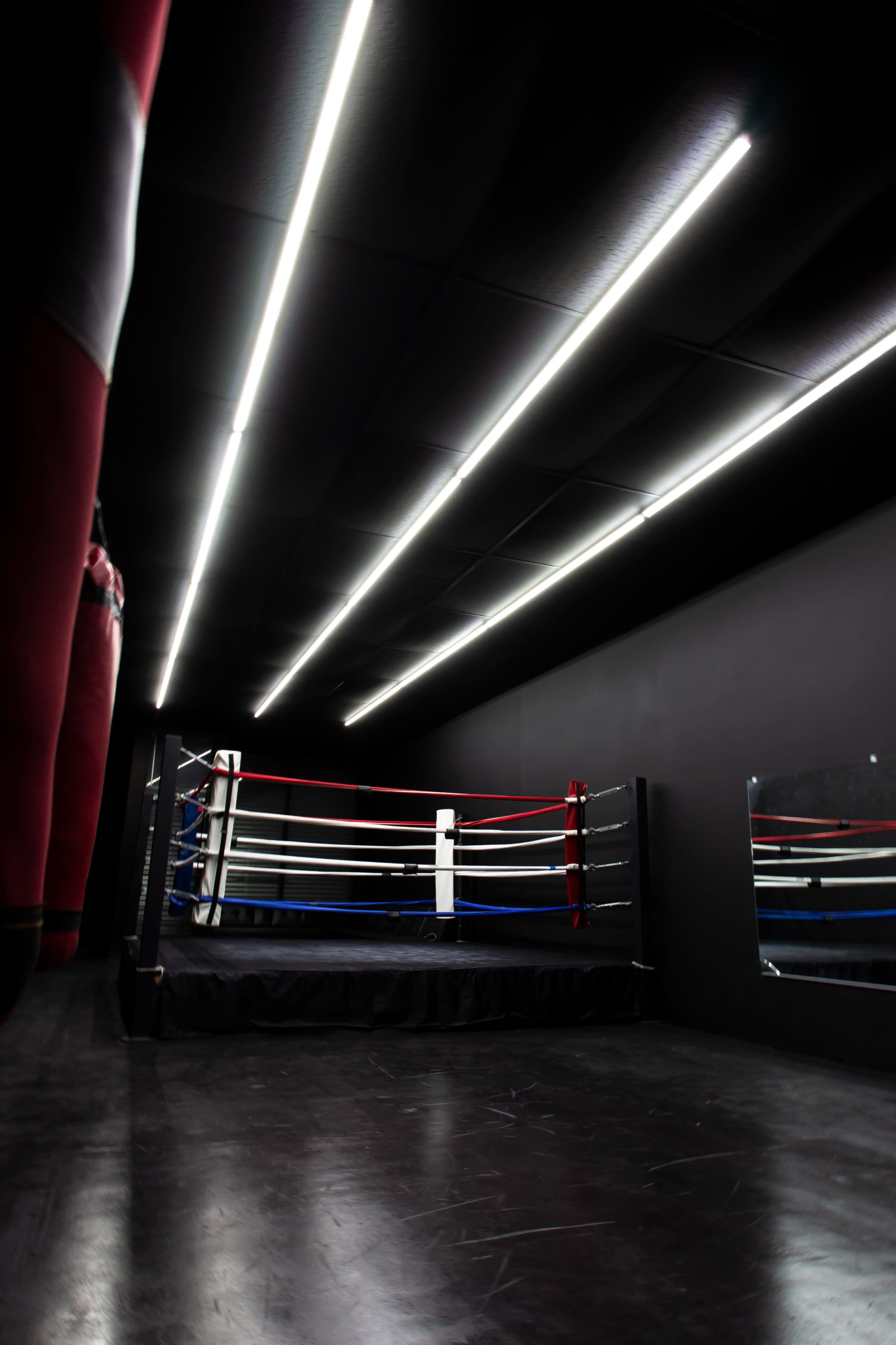 Sleek, Modern Boxing Studio with Atomospheric Lighting Image in Central LA, los angeles, CA