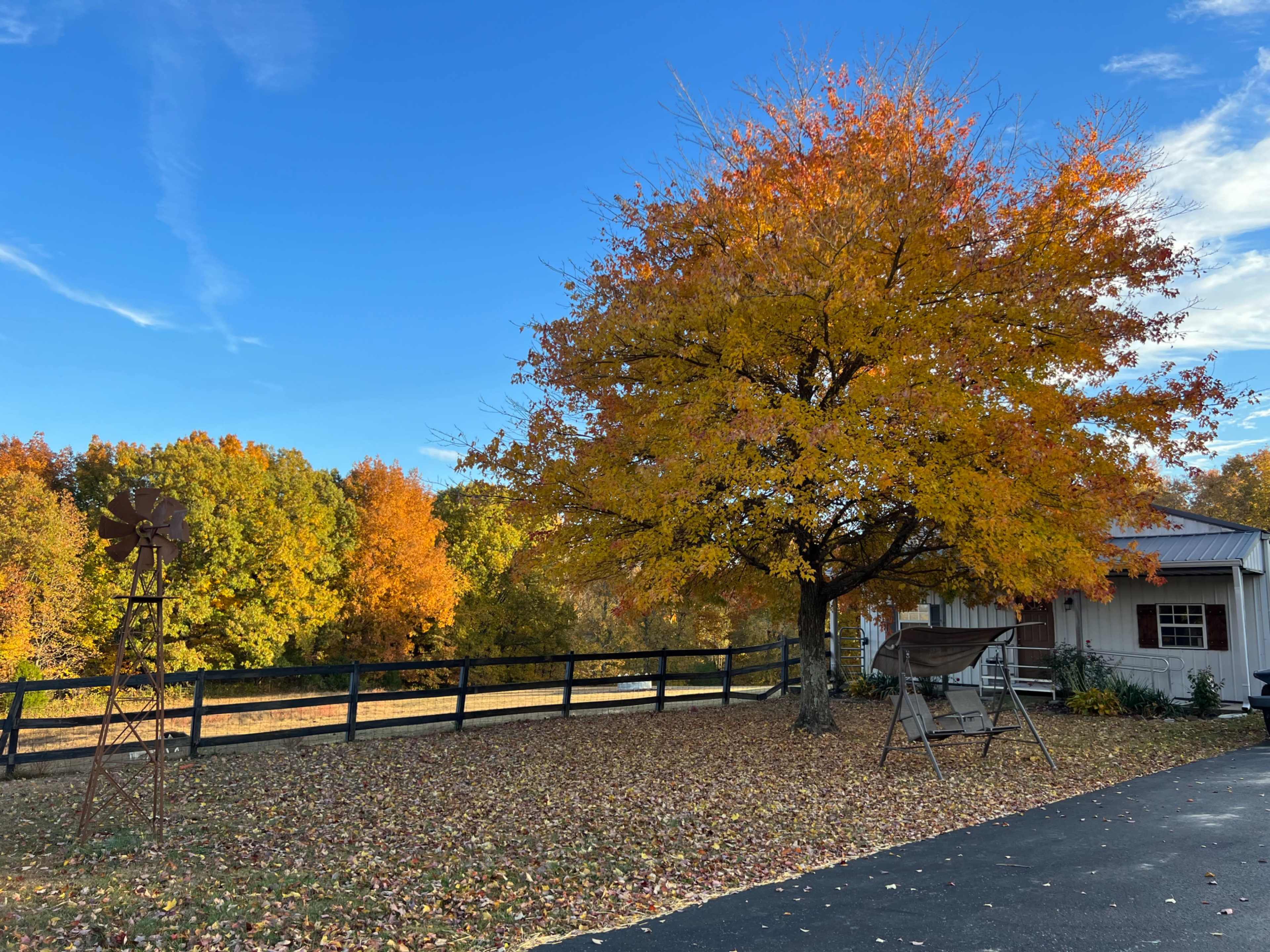 Country farm charm with a variety of friendly animals Image in Walnut Grove, Cottontown, TN
