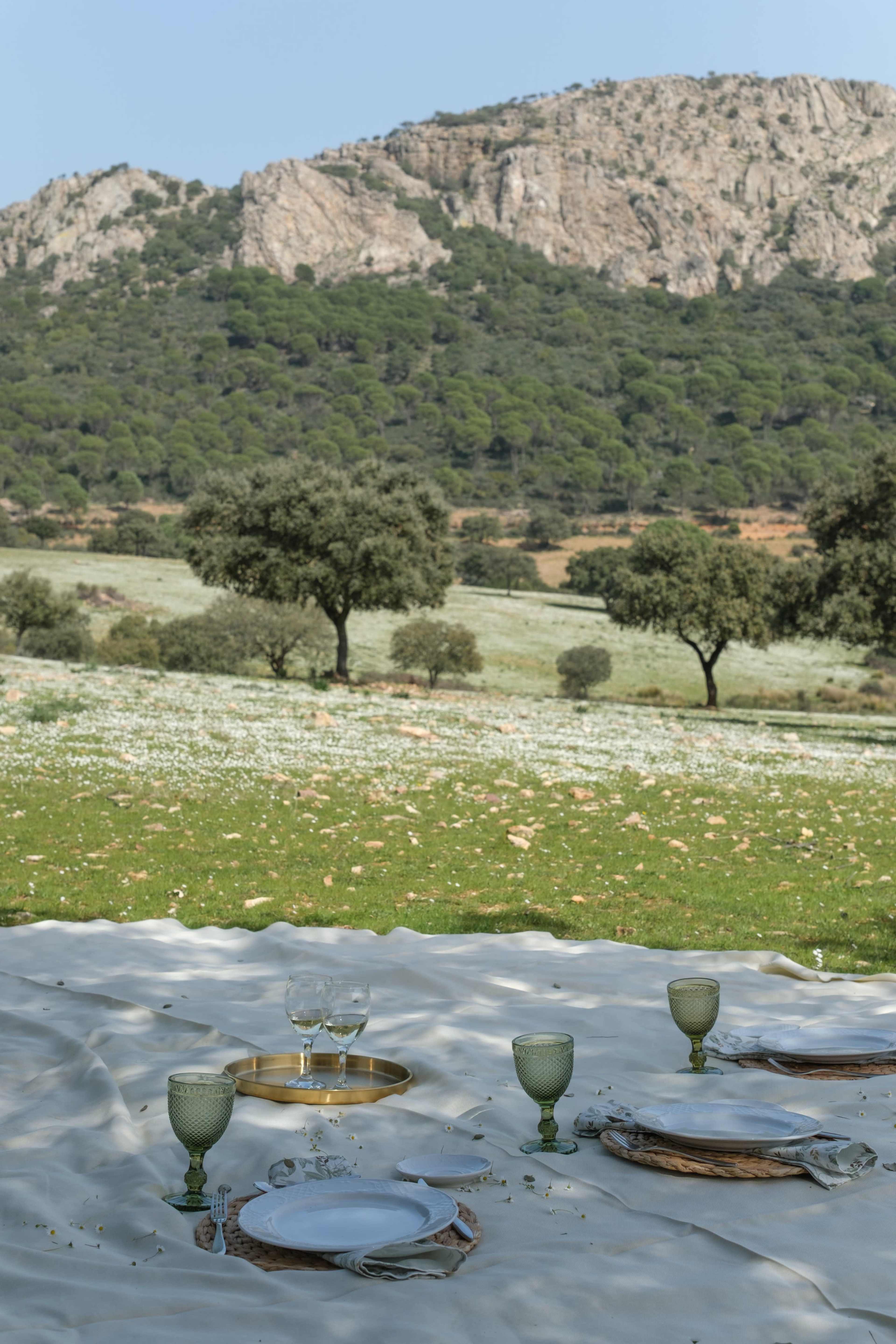 A picnic setup with plates, glasses, and a serving tray is arranged on a white cloth in an open grassy area, surrounded by trees and a mountainous backdrop.