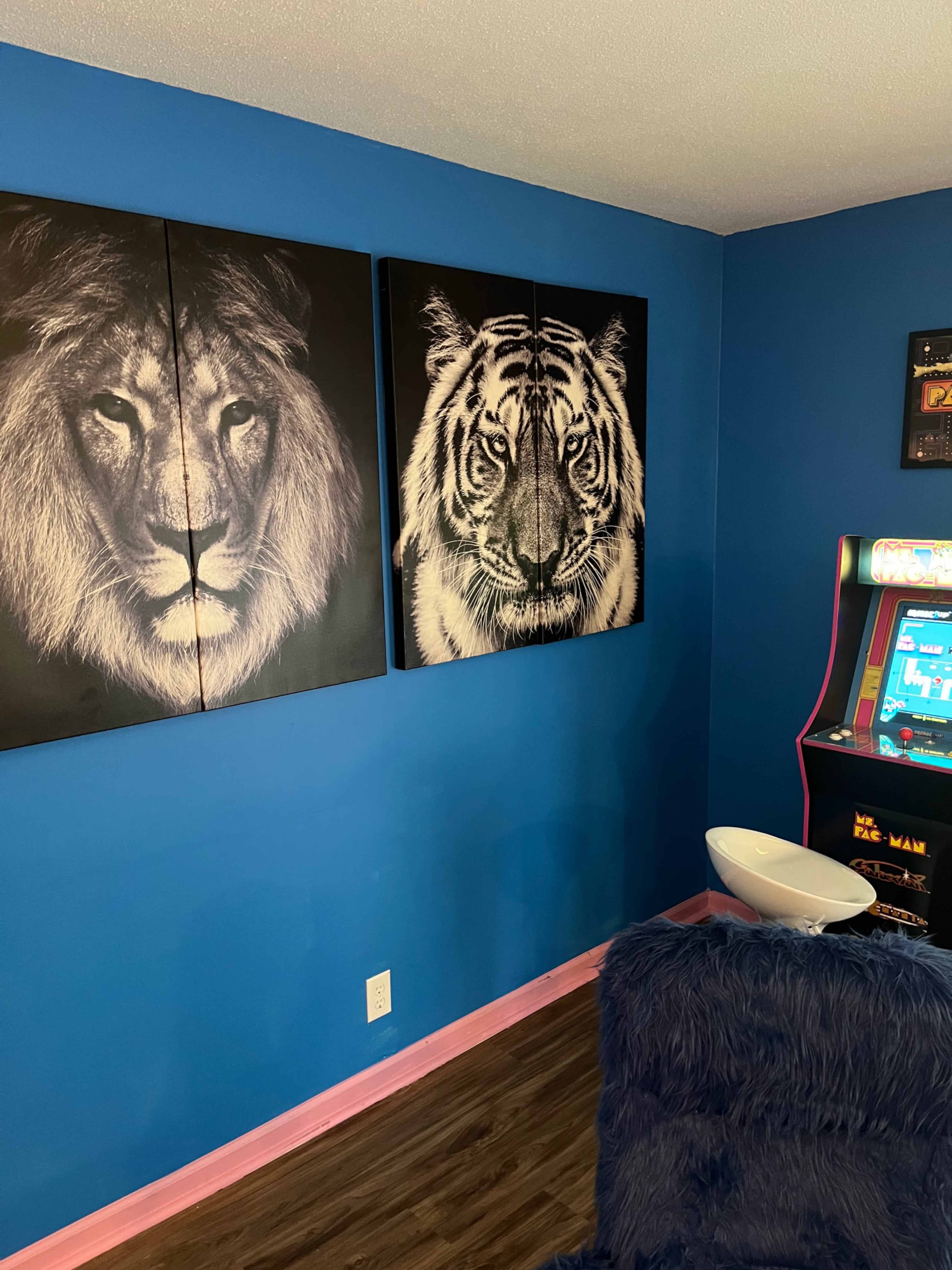 A blue wall adorned with two large black-and-white animal portraits of a lion and a tiger, alongside a pink-framed arcade gaming machine and a white chair.