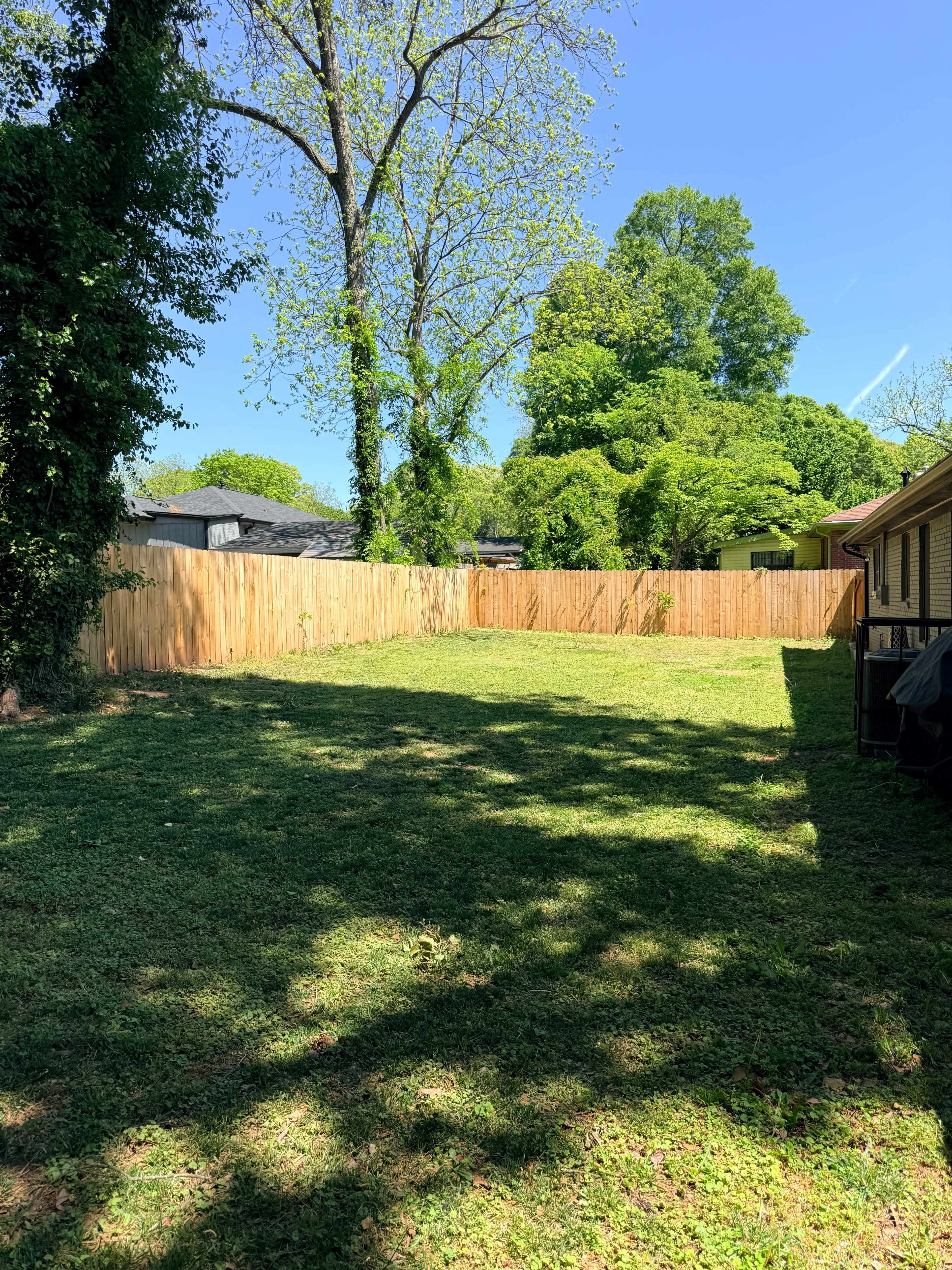 A fenced backyard with green grass and several trees under a clear blue sky.