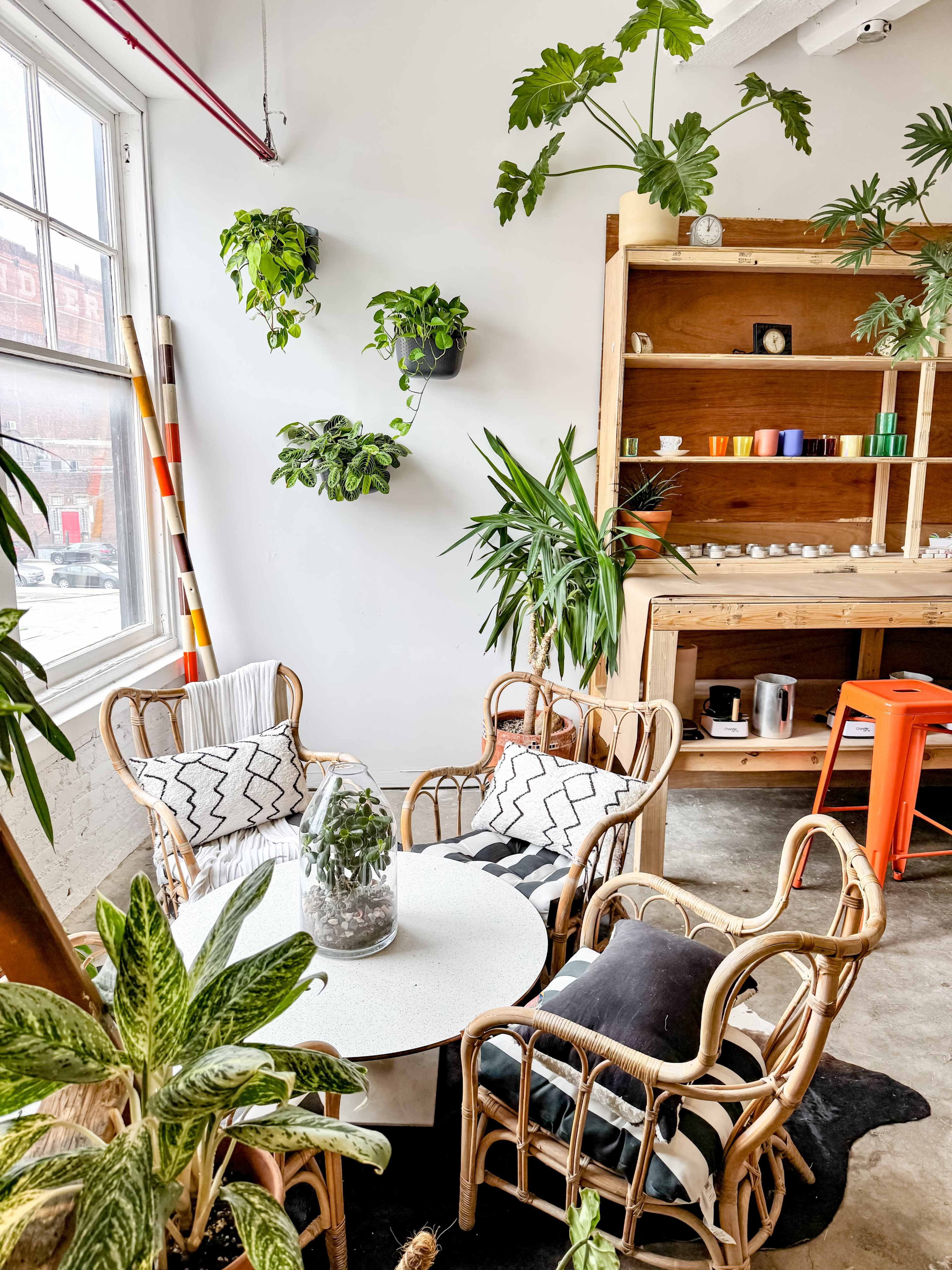 A cozy indoor seating area features rattan chairs around a round table, surrounded by various potted plants and a wooden shelf displaying colorful items.