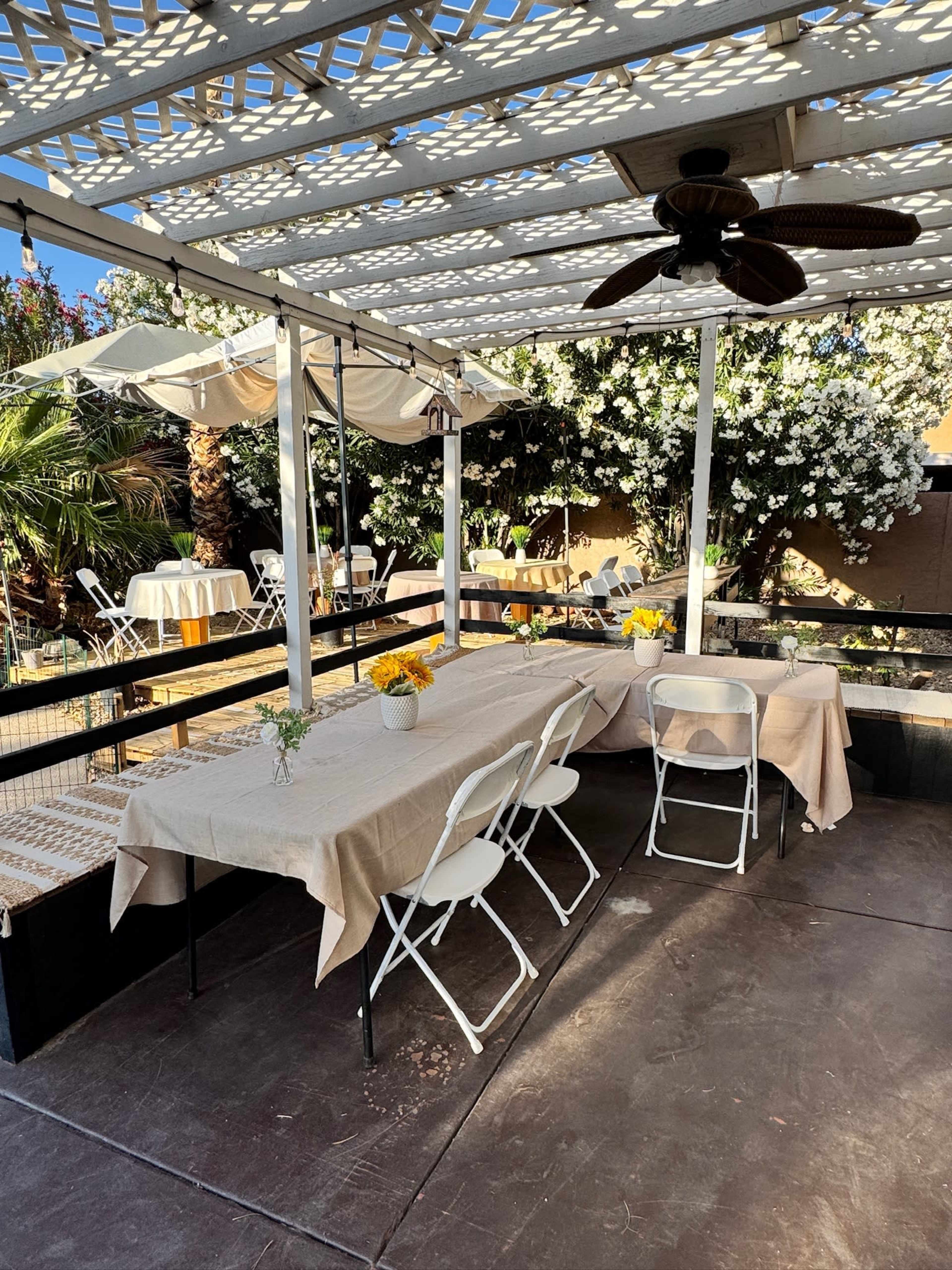 Tropical Backyard Oasis with Pool for Events Image in Centennial Hills, Las Vegas, NV