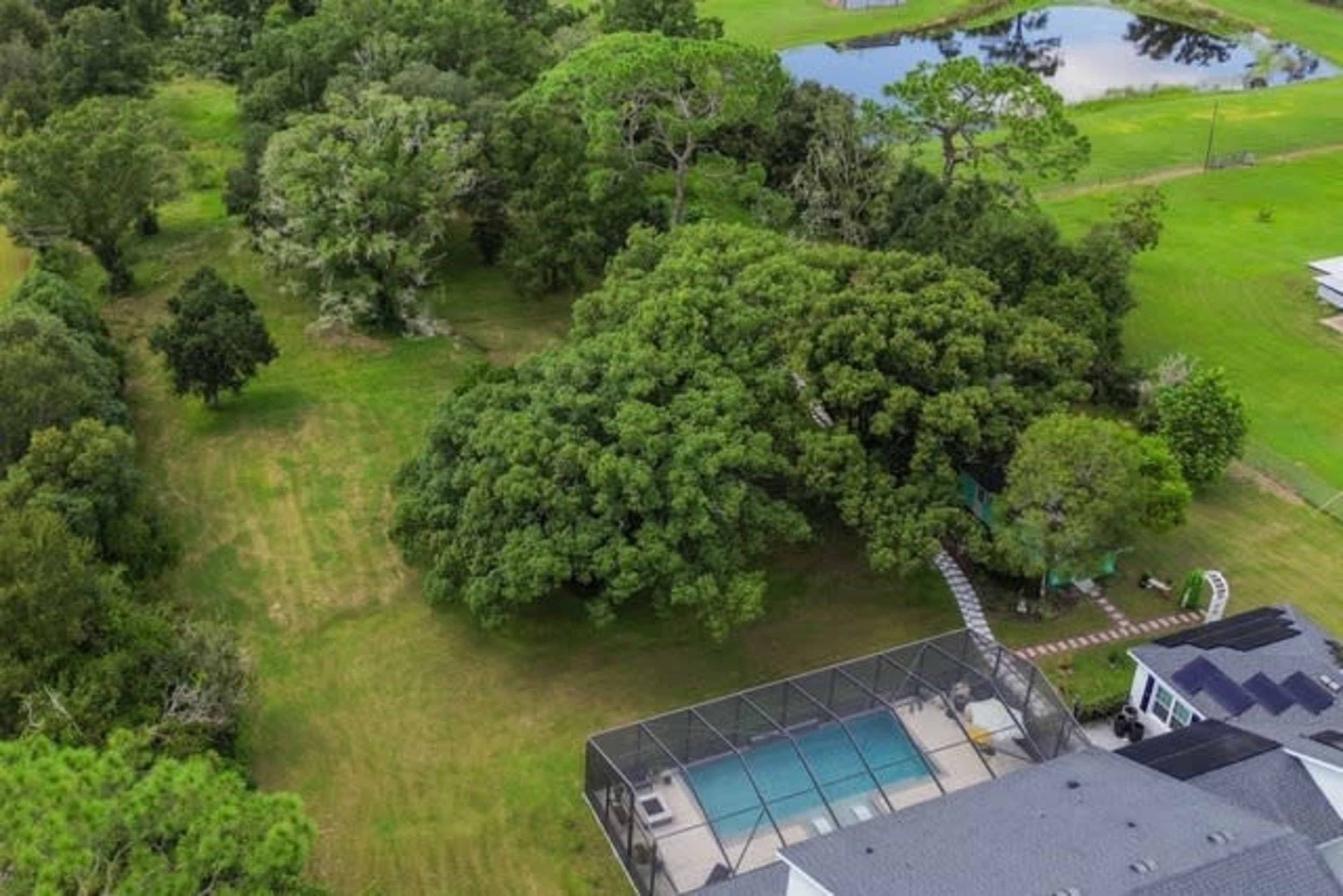 The image shows a spacious green area featuring a pool surrounded by a screened enclosure and dense trees.