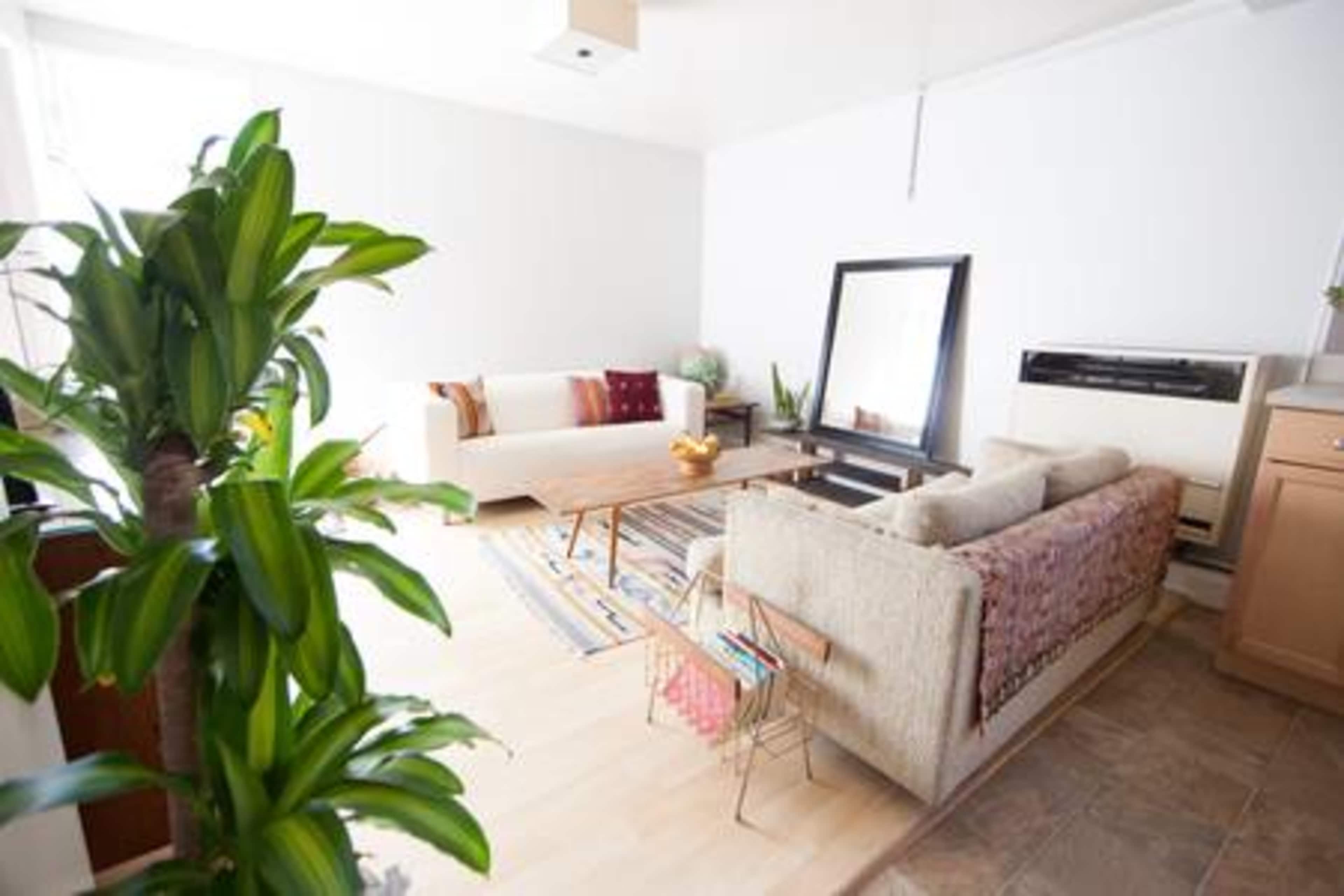 A bright living room features a large mirror, a wooden coffee table, two couches, and decorative plants.