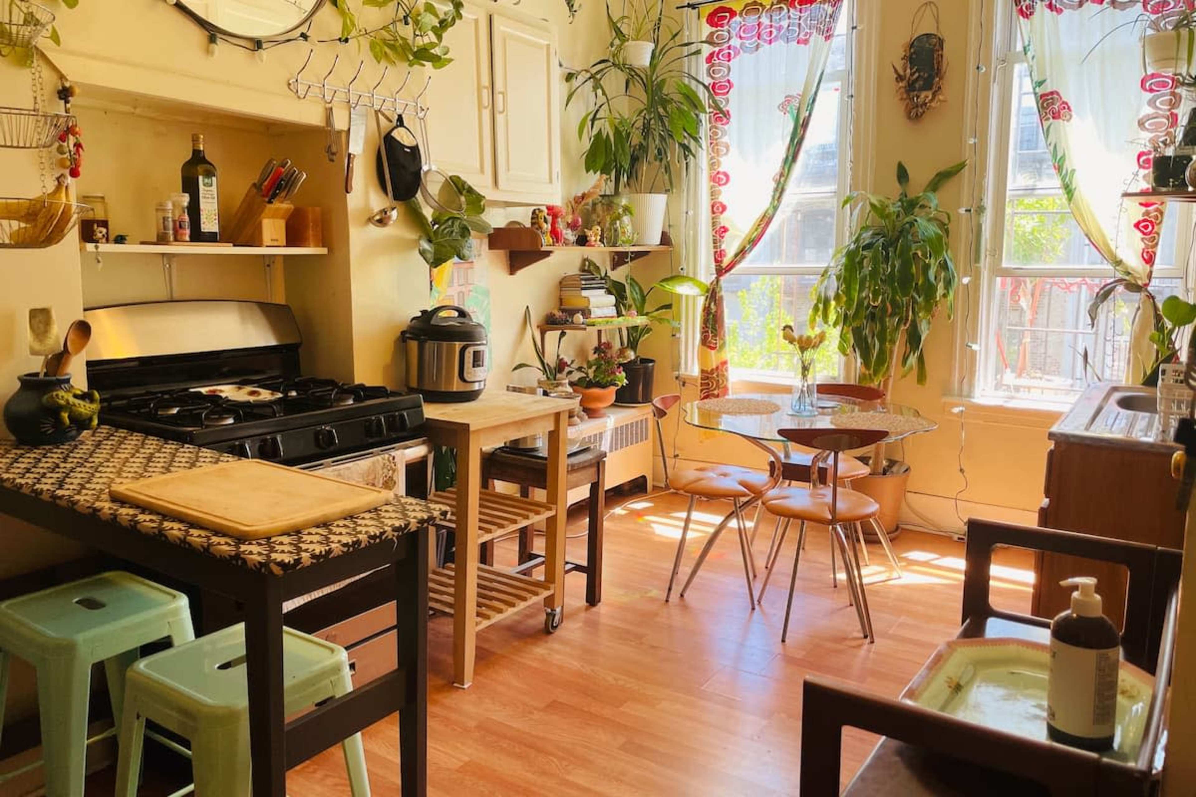 A bright kitchen featuring a gas stove, a small dining table with four chairs, and various houseplants adorning the windows and countertops.