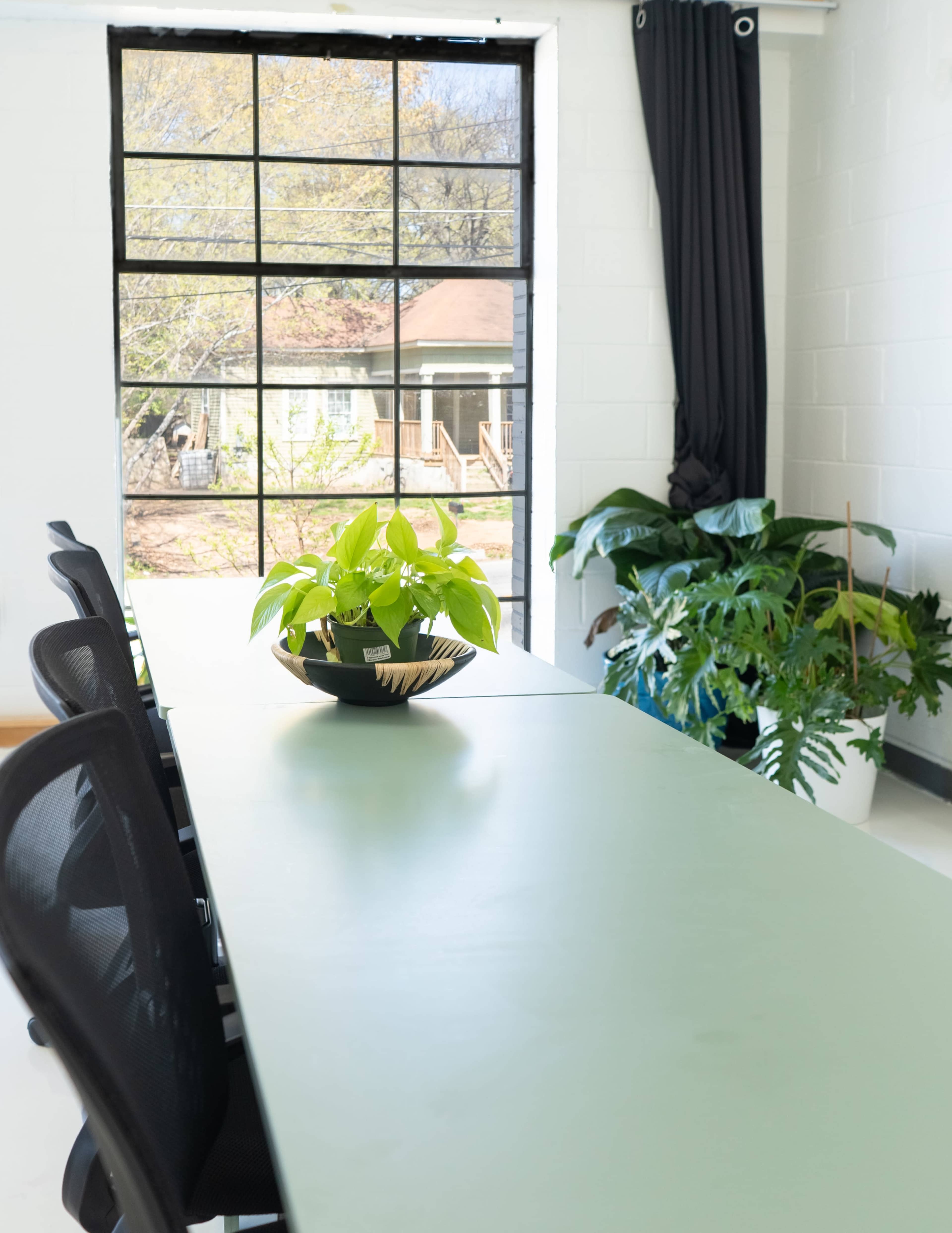 Versatile Plant Studio for Team Meetings, Classes and Workshops Image in Lakewood Heights, Atlanta, GA