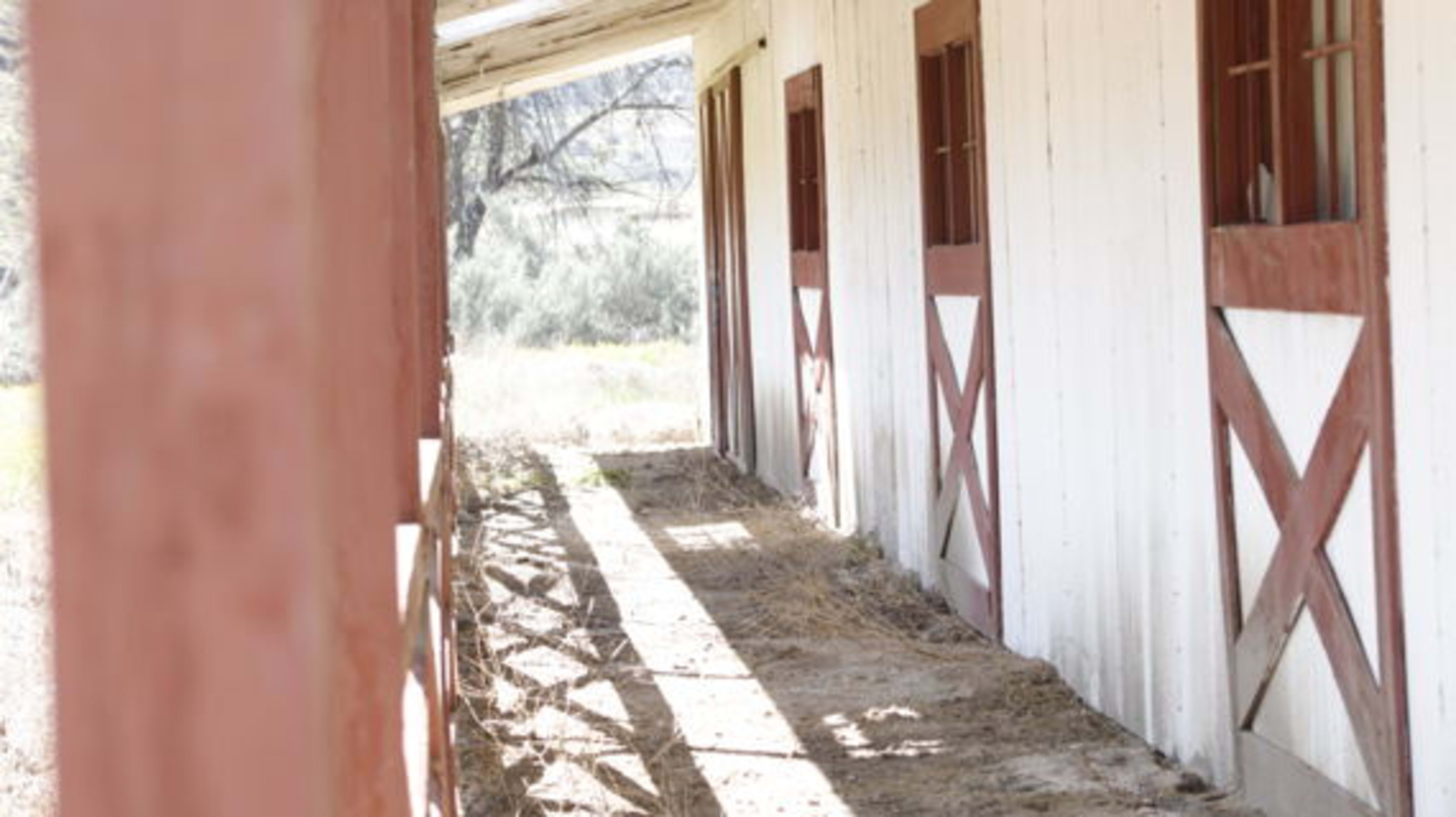 A row of stables with white walls and brown doors, set along a dirt path surrounded by grass and trees.
