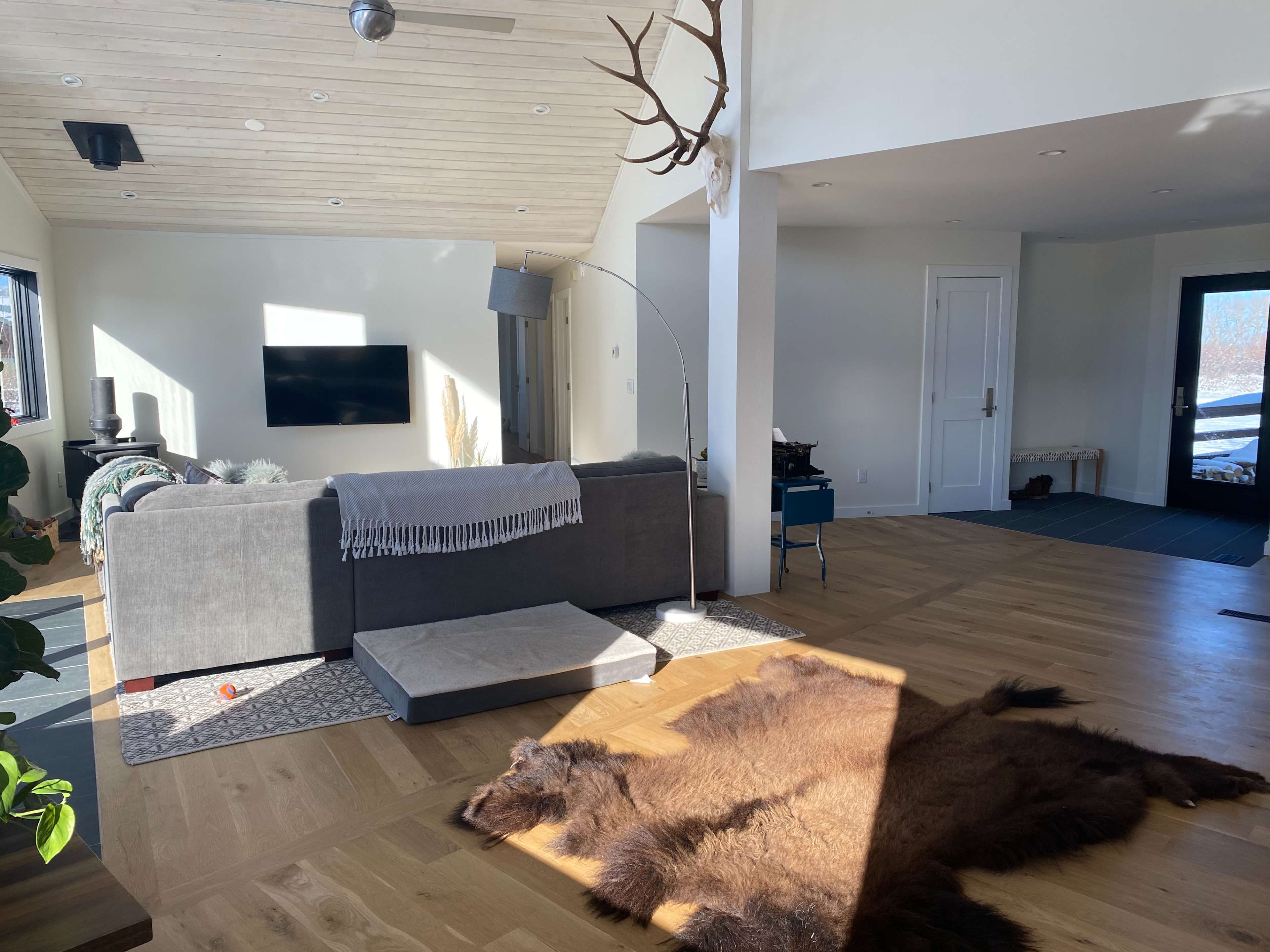 A modern living room featuring a sectional sofa, a television mounted on the wall, a floor lamp, and a large animal hide laid on wooden flooring.