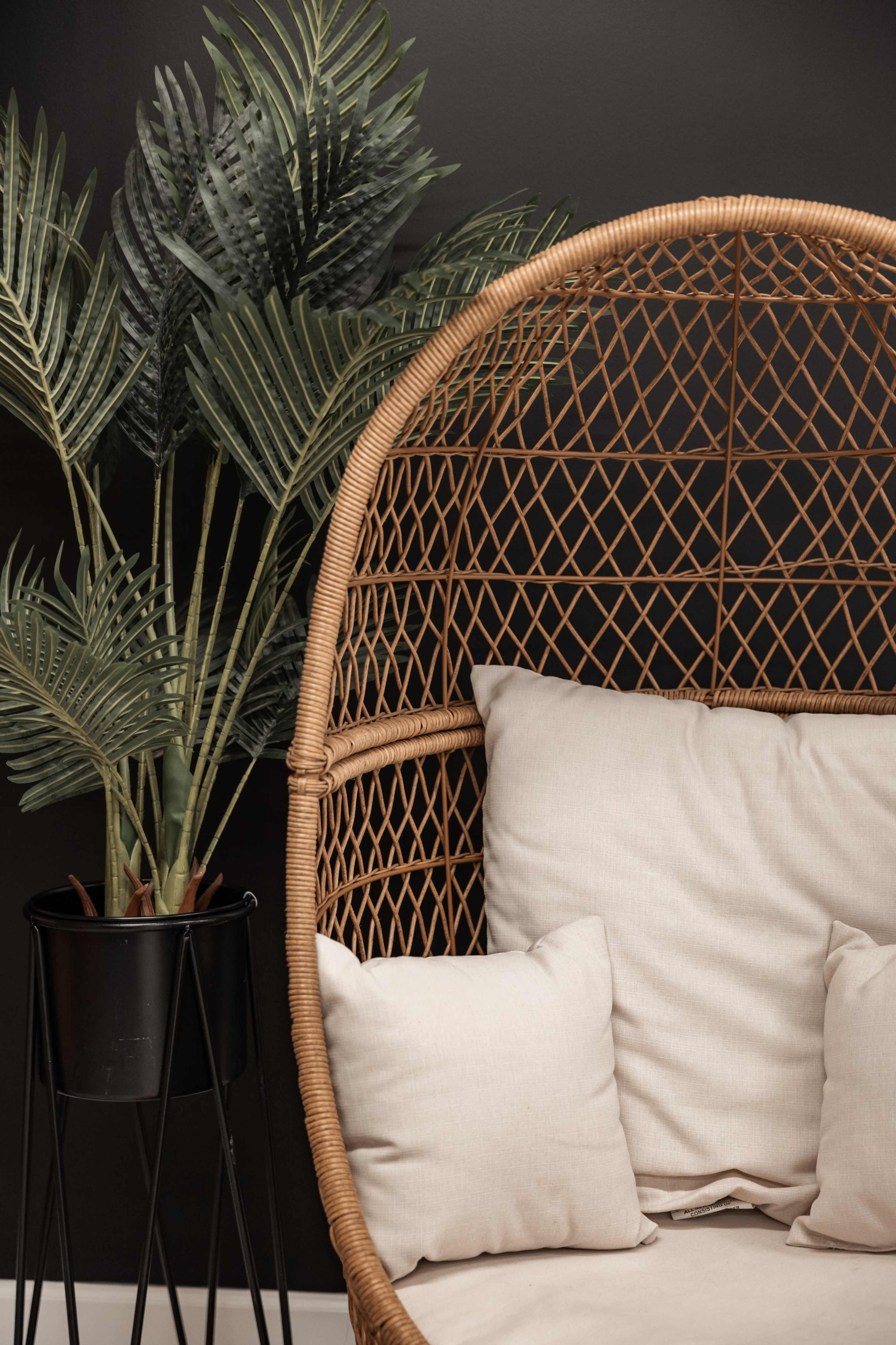 A rattan chair with plush cushions sits beside a potted palm plant against a dark wall.