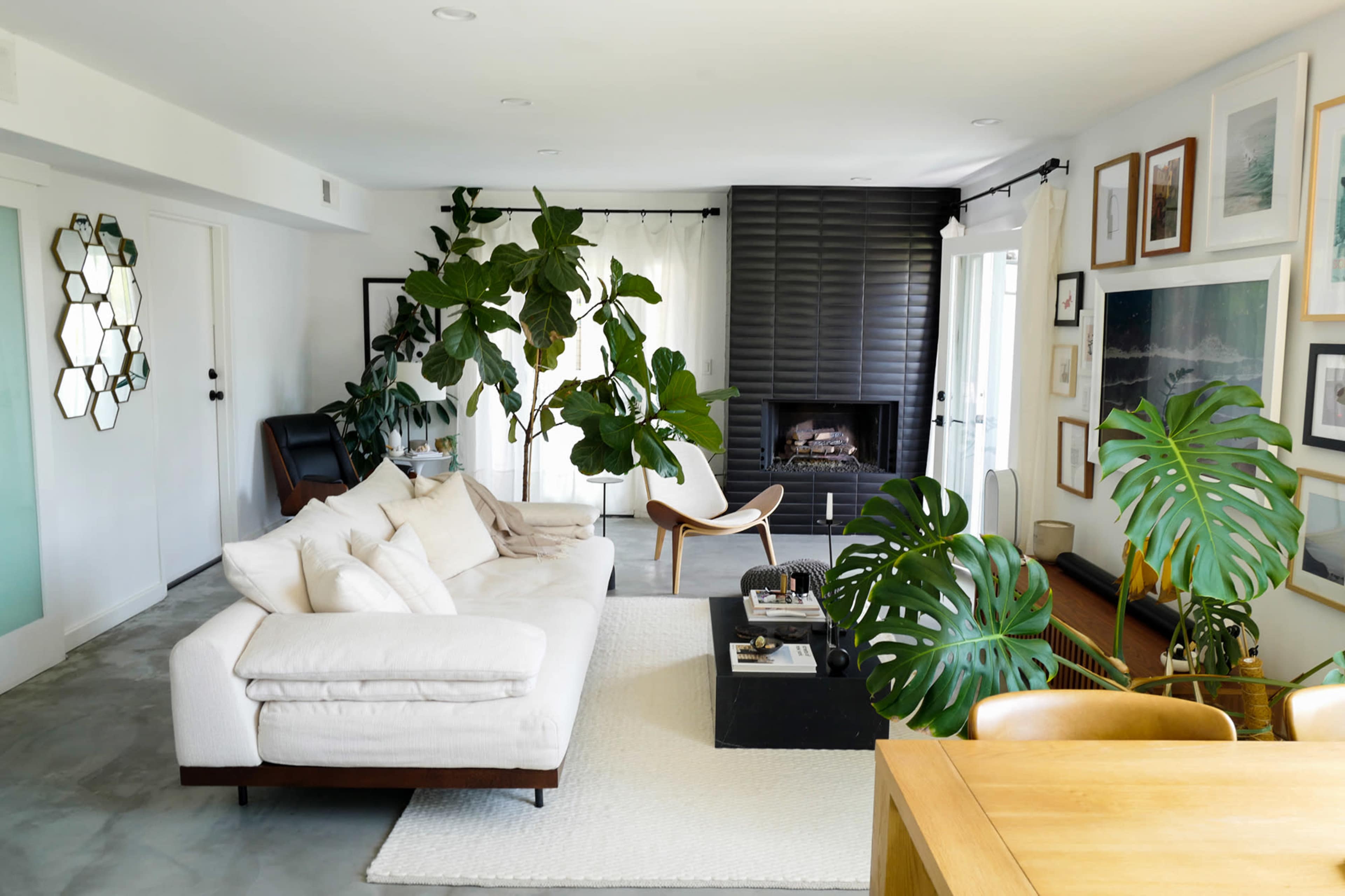 A modern living room featuring a sectional sofa, a fireplace, several plants, and a dining area with a wooden table.