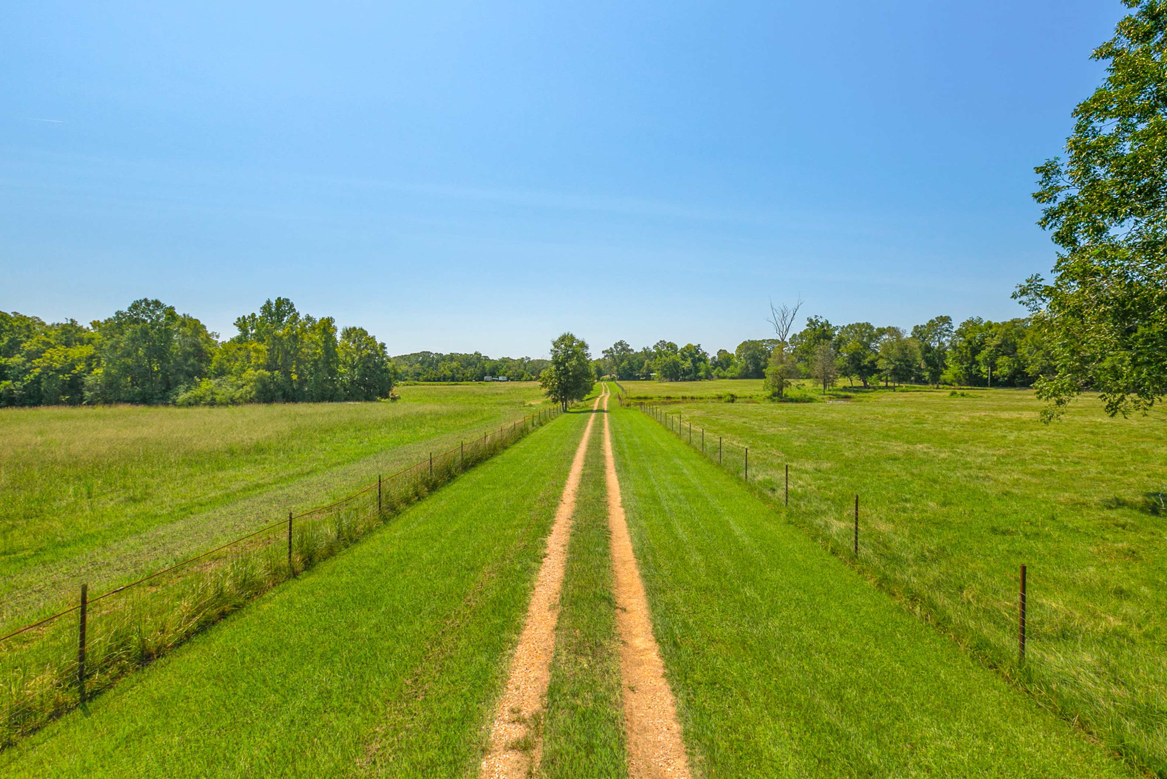 A dirt road lined by grass and trees stretches into the distance through a verdant landscape.