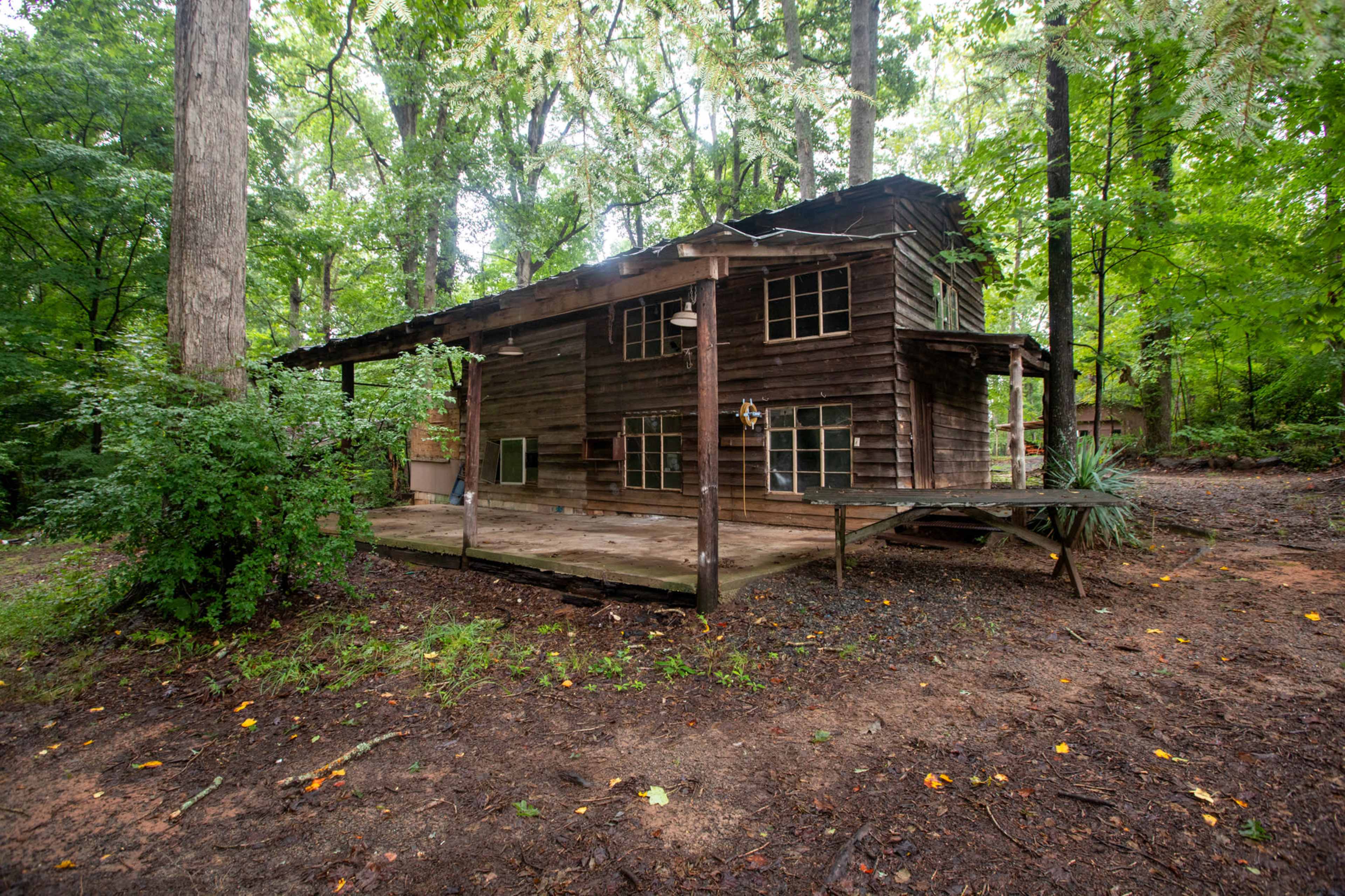 The image shows an abandoned wooden cabin surrounded by dense trees and overgrown vegetation.