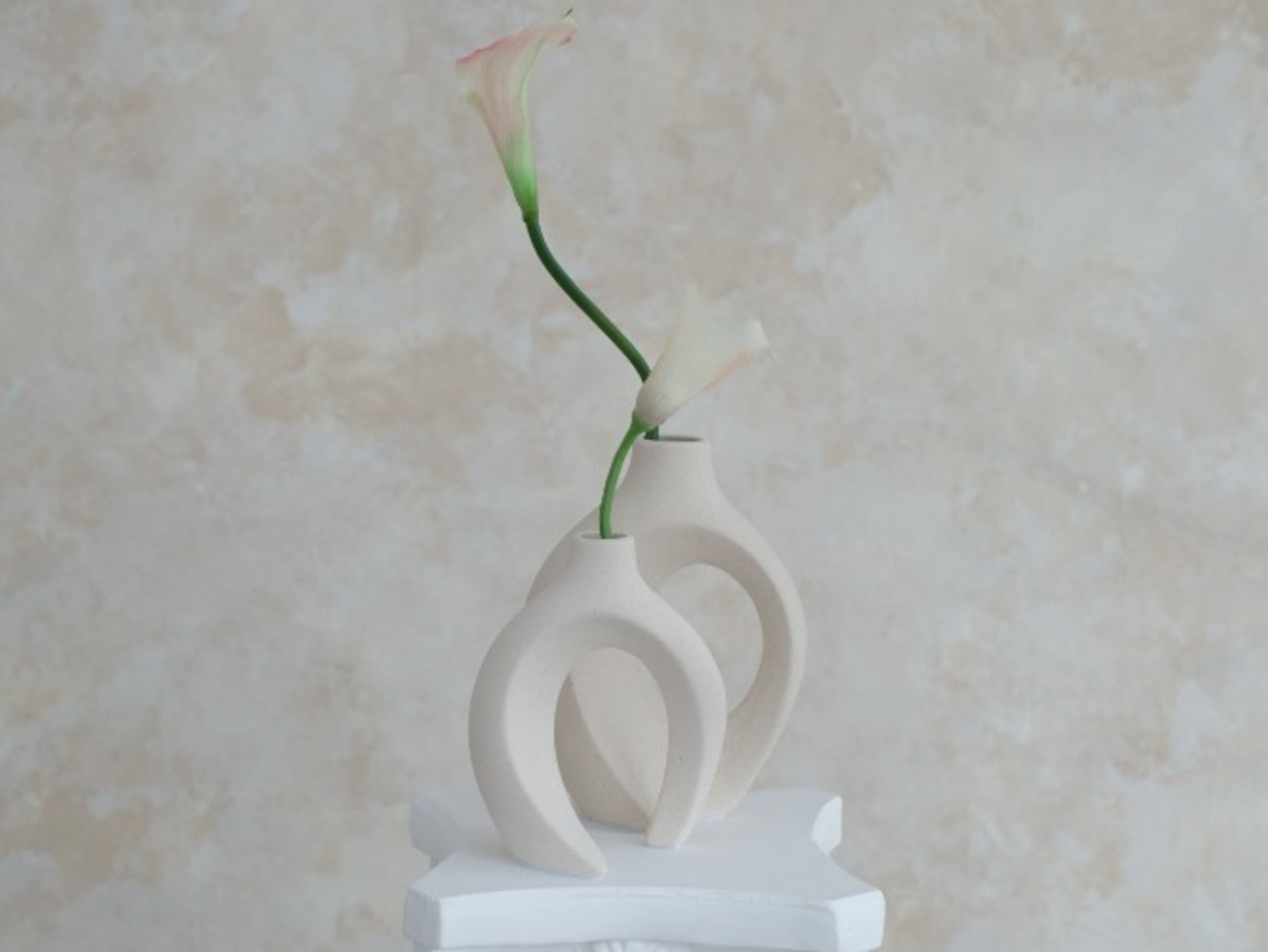 "Ivory Clay" Canvas Collection Backdrop