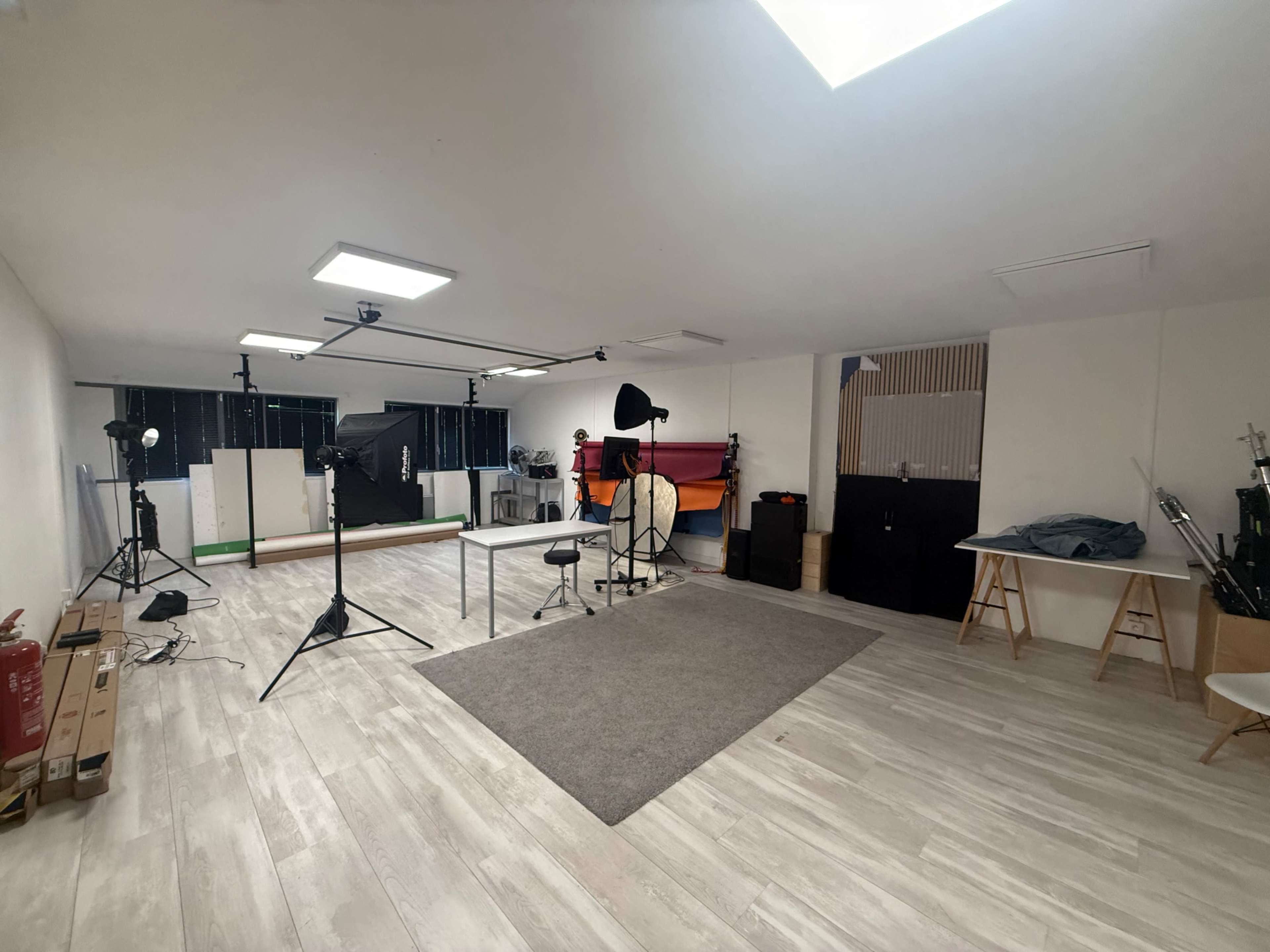 The image shows a spacious photography studio featuring various lighting equipment, backdrops, and a large gray rug on the floor.
