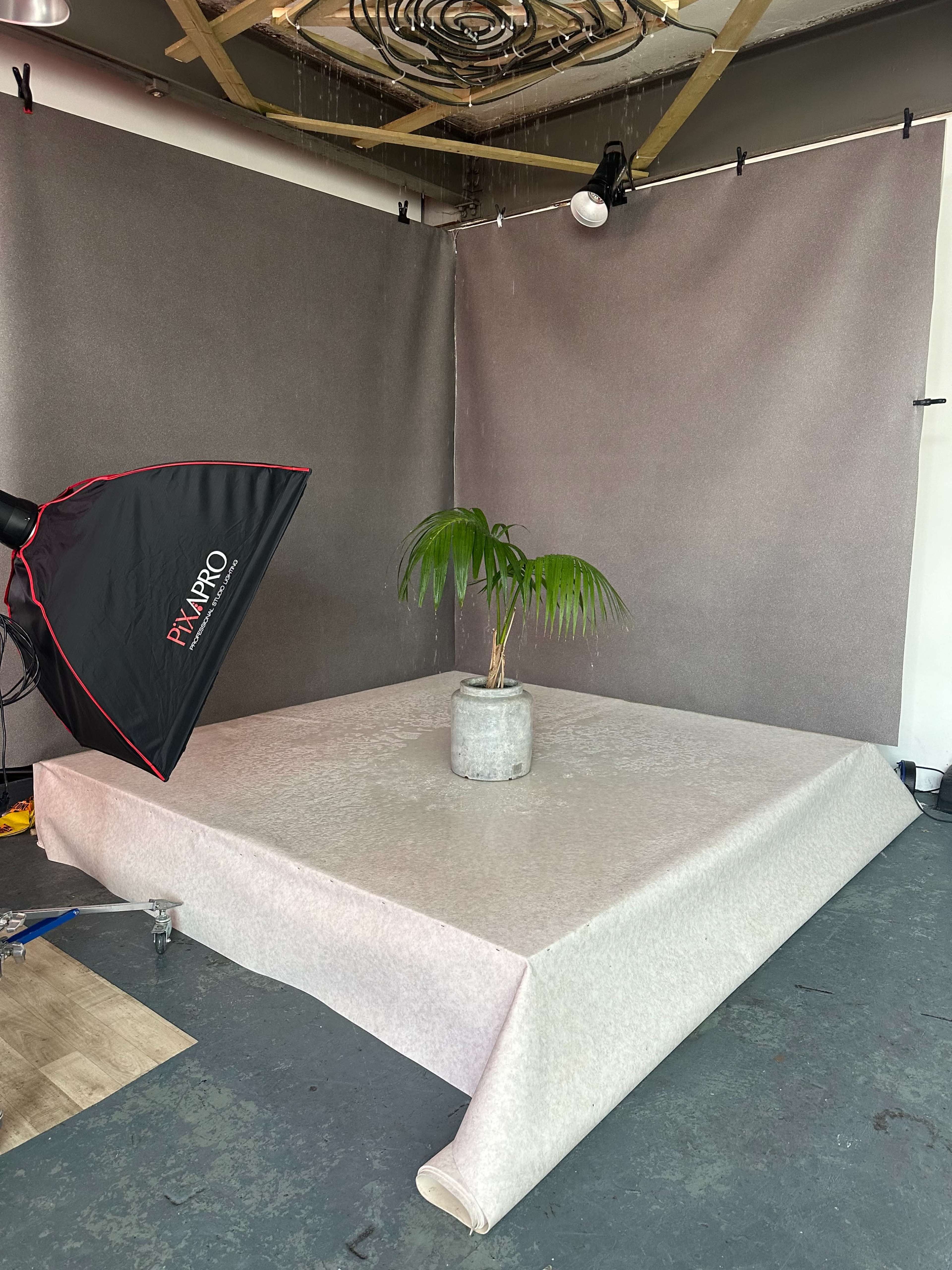 A photography setup features a potted plant on a draped surface surrounded by gray backdrop materials and studio lighting equipment.