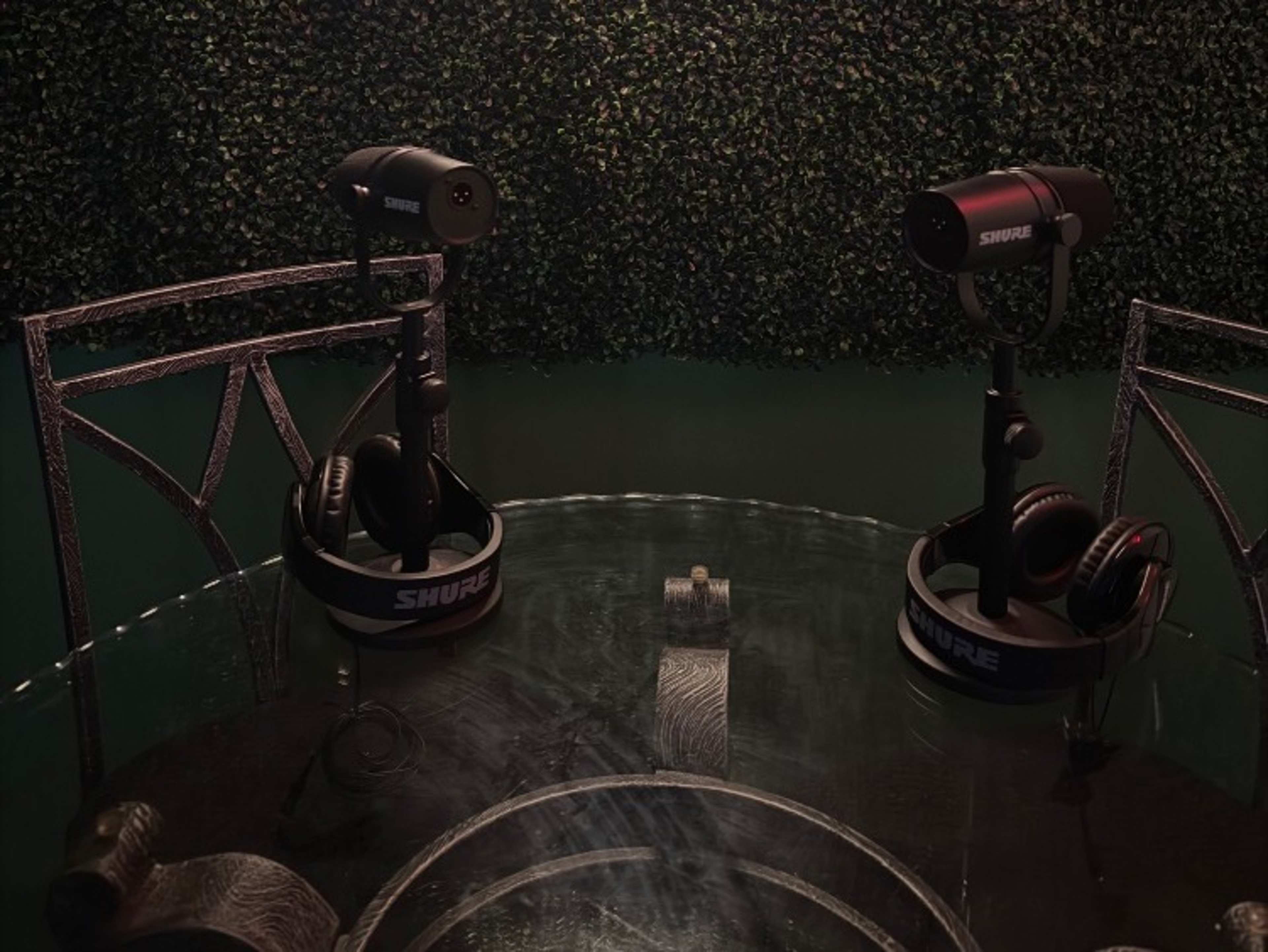 Shure Microphone Podcast Set Up