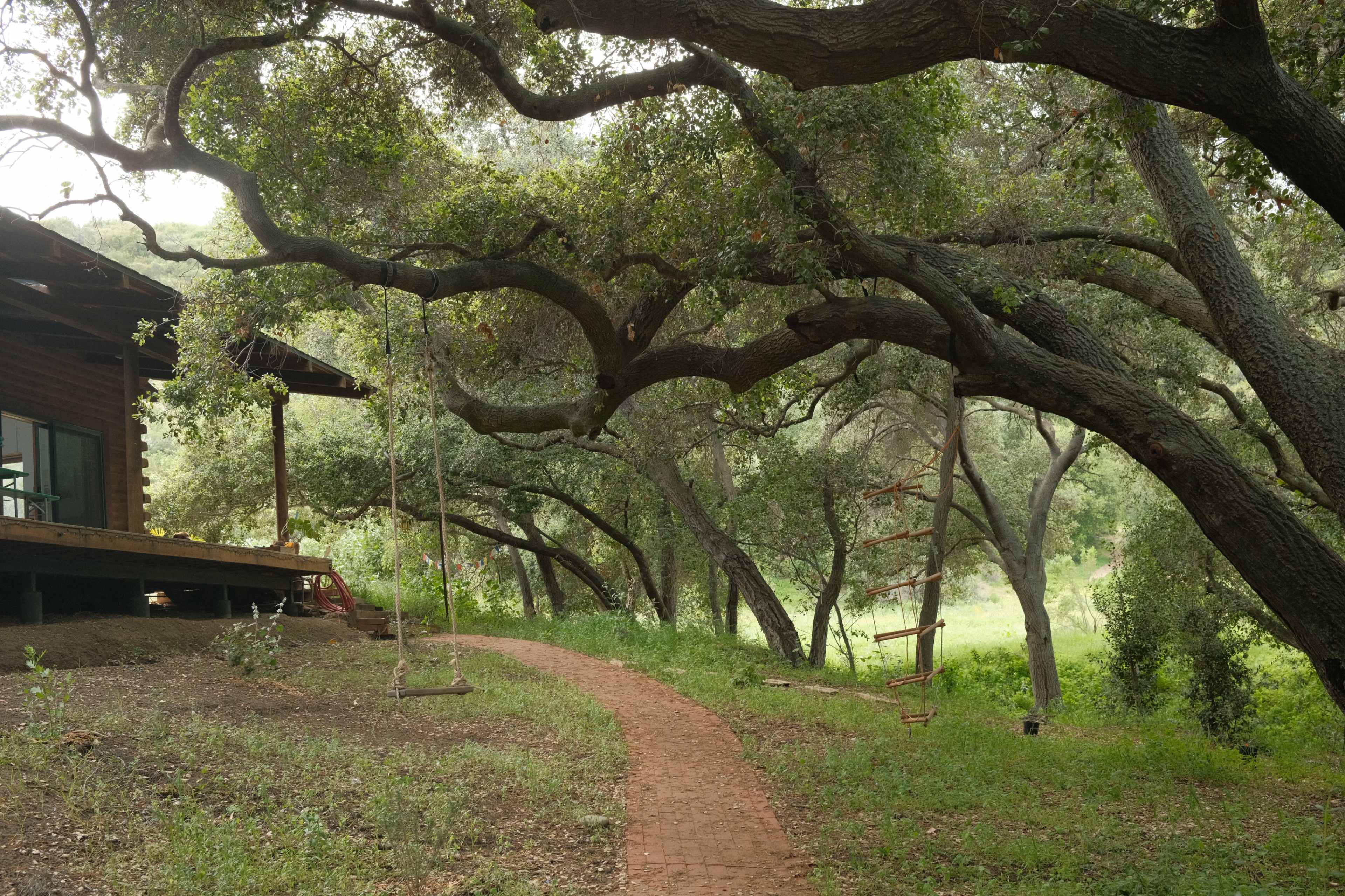 A winding brick path leads from a wooden structure past a swing and a wooden ladder, surrounded by large oak trees in a grassy area.