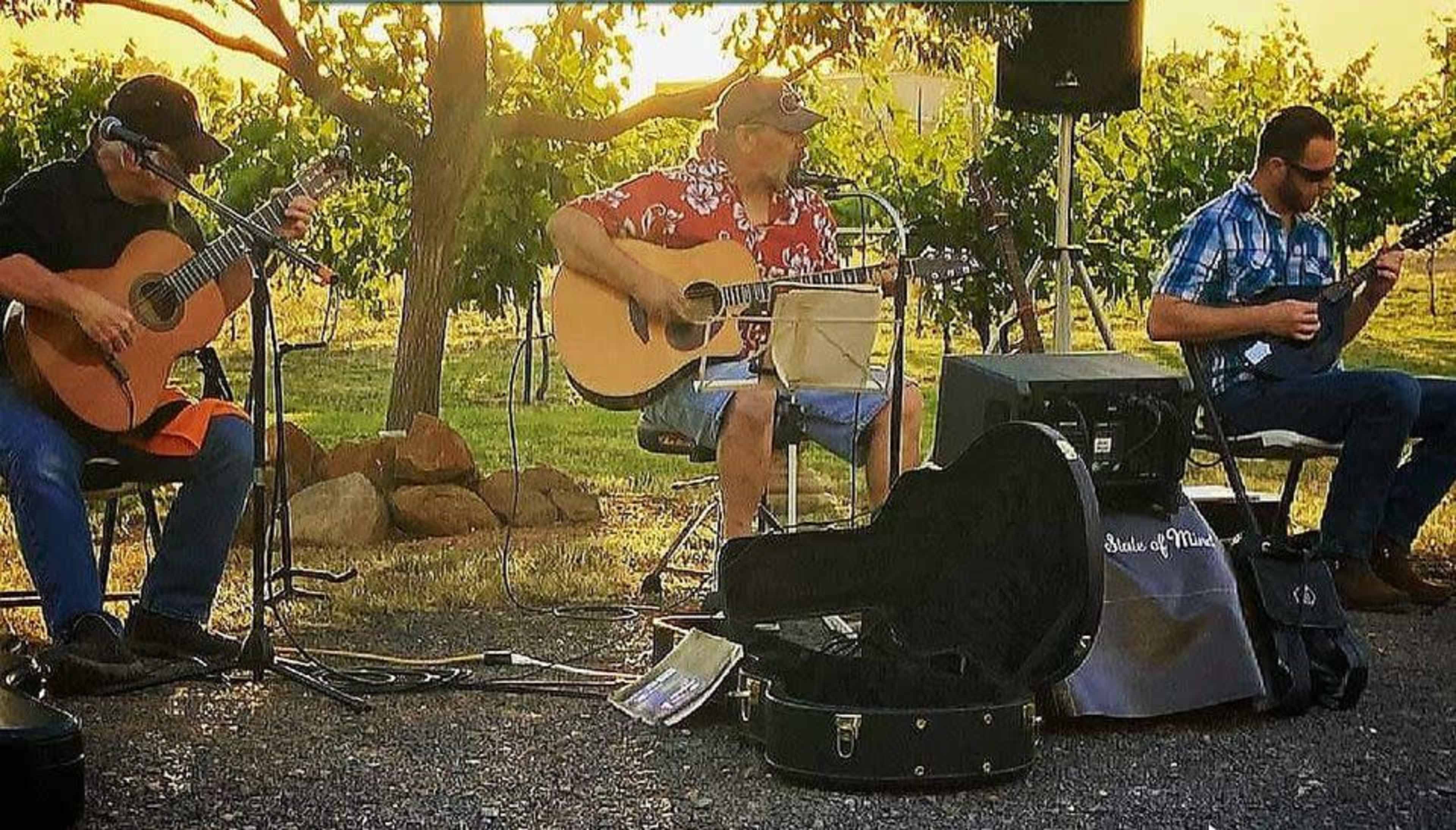 Three musicians play guitars and a mandolin in a vineyard during sunset.