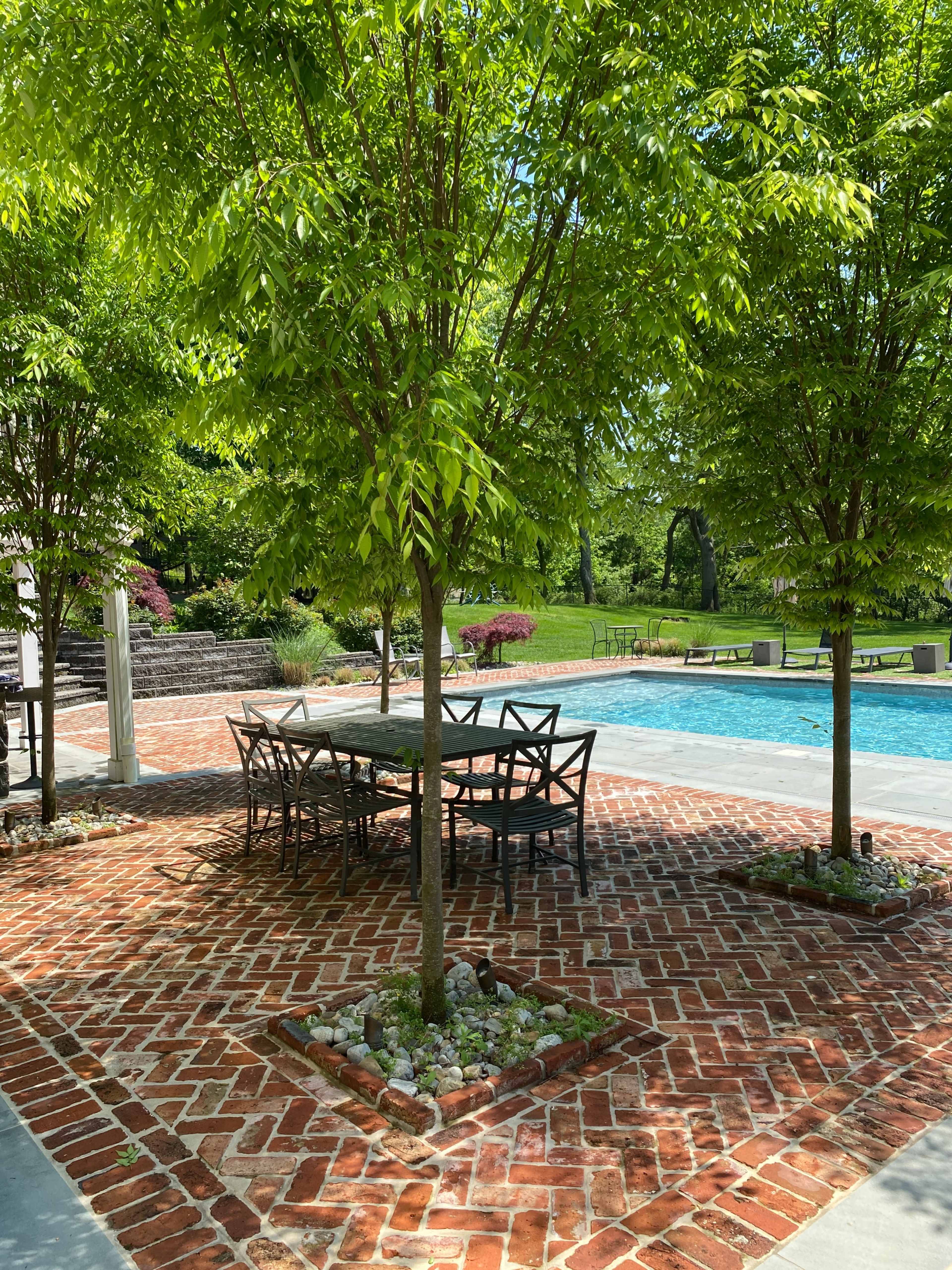A patio area with a brick surface features a table and chairs under two trees, adjacent to a swimming pool surrounded by greenery.